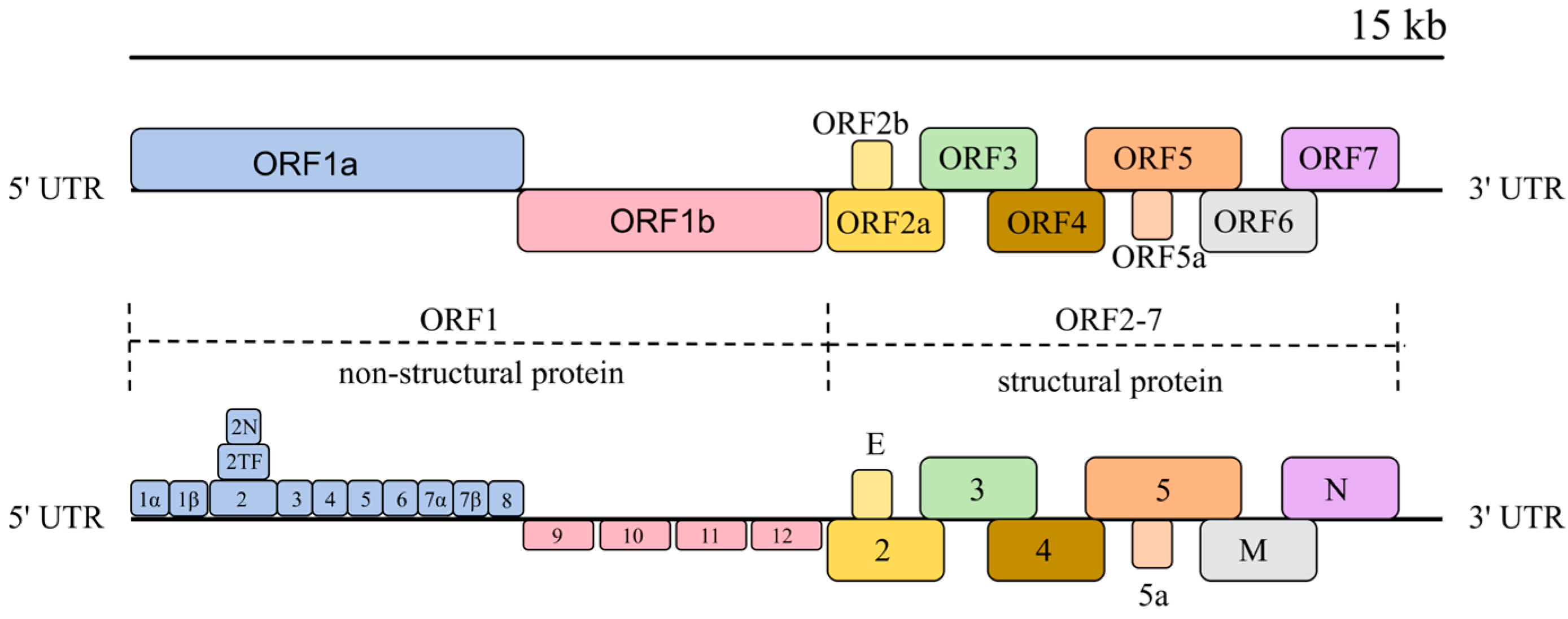 Animals 15 00430 g001