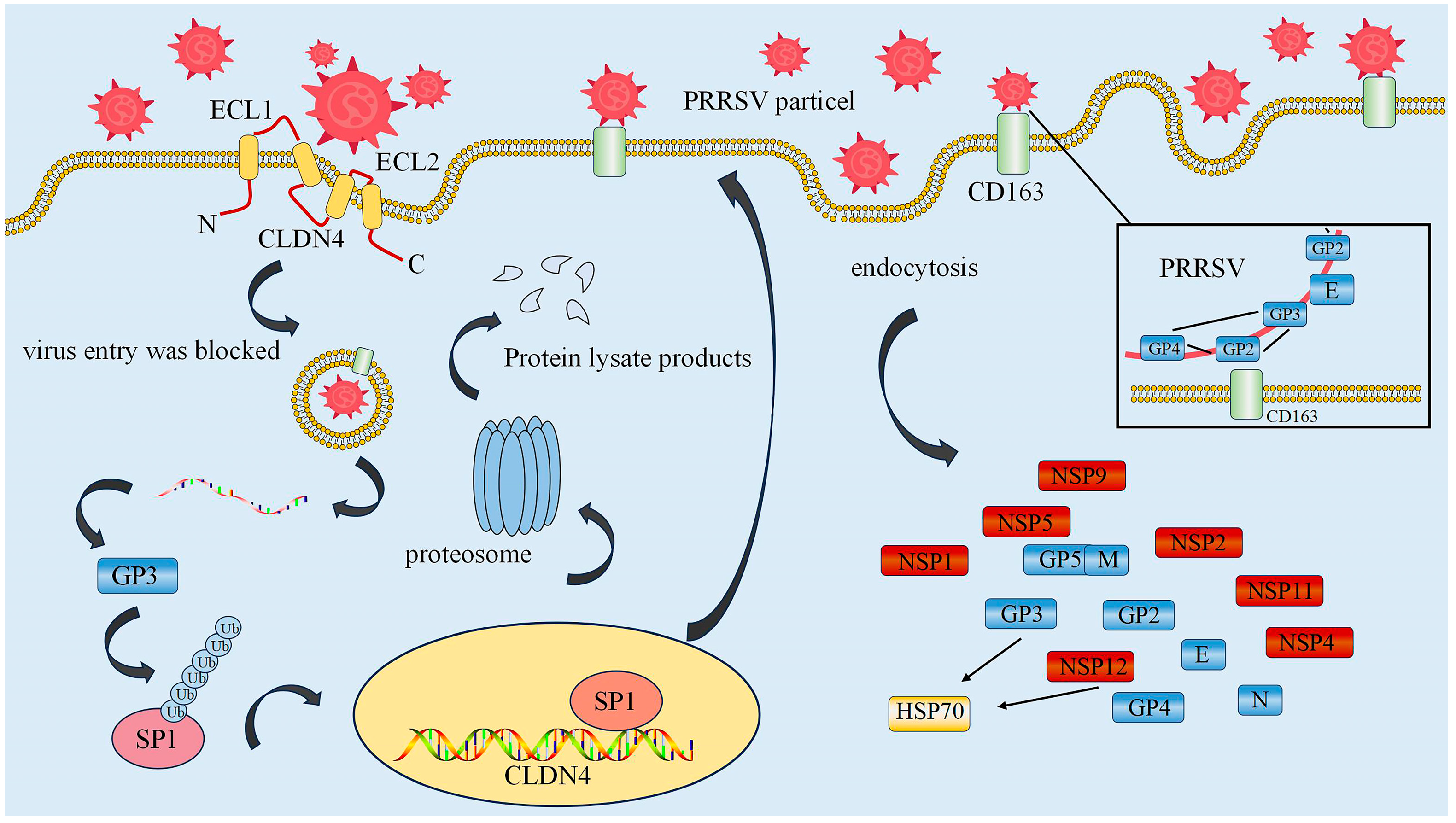 Animals 15 00430 g005