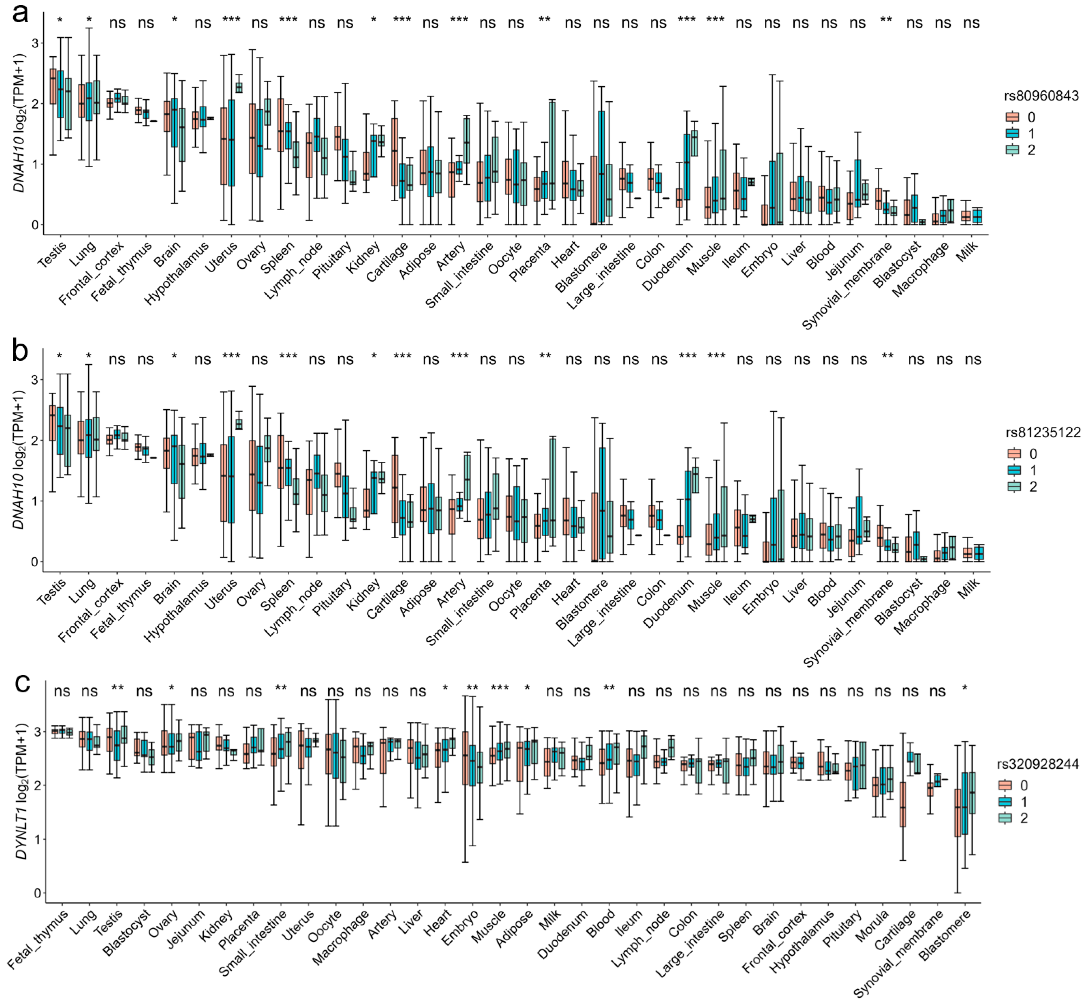 Animals 15 00438 g006