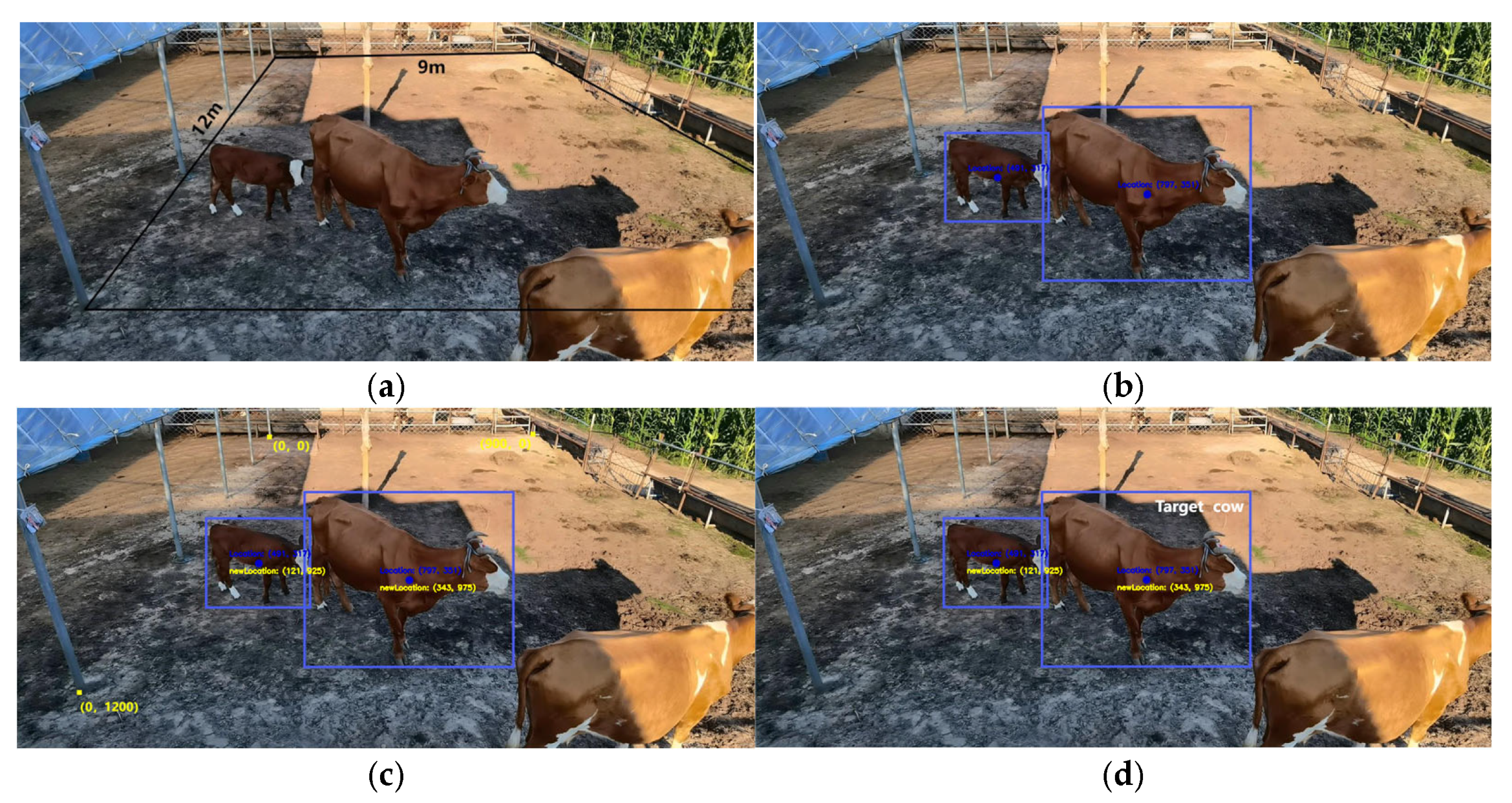 Animals 15 00456 g007