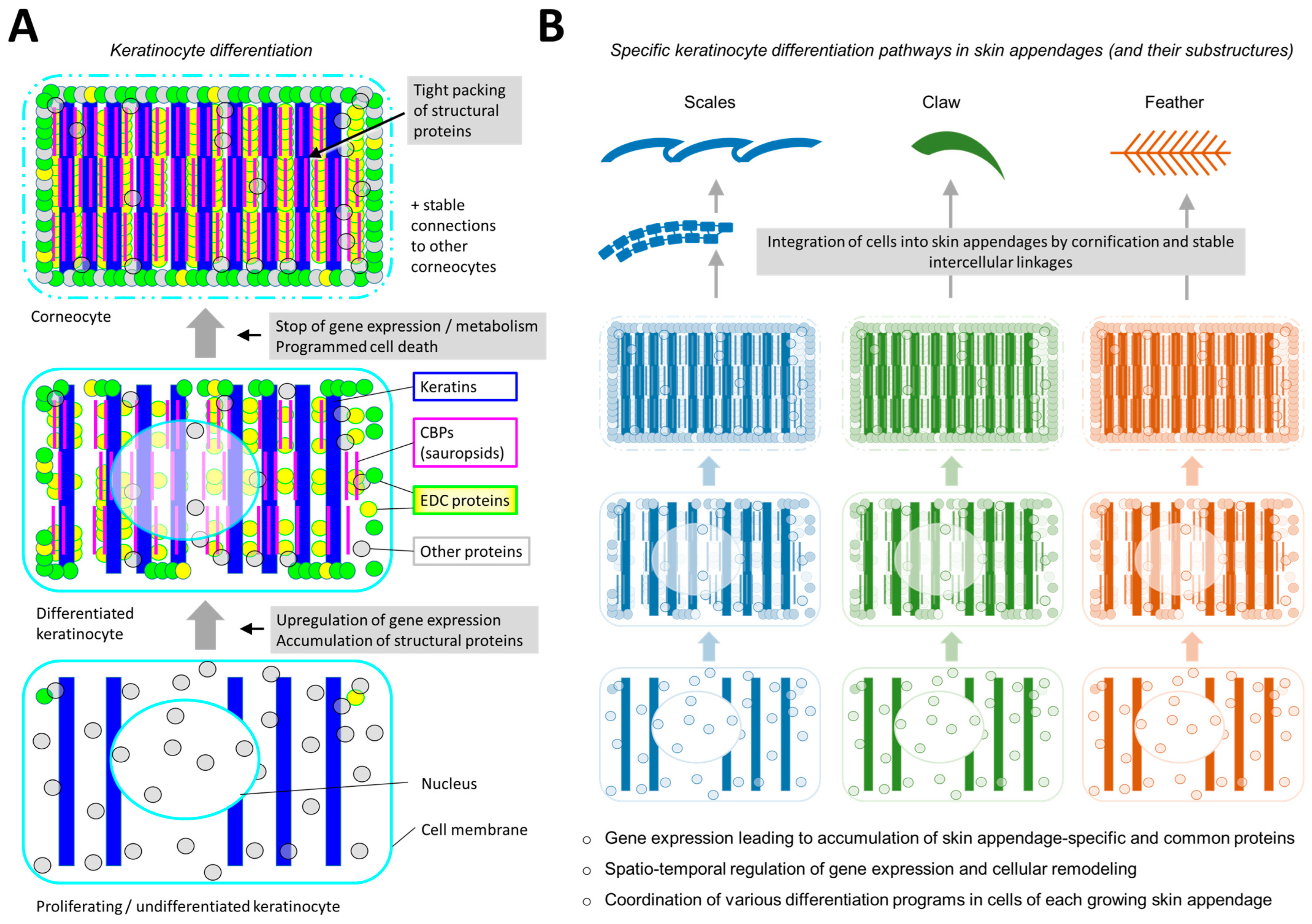 Animals 15 00457 g002