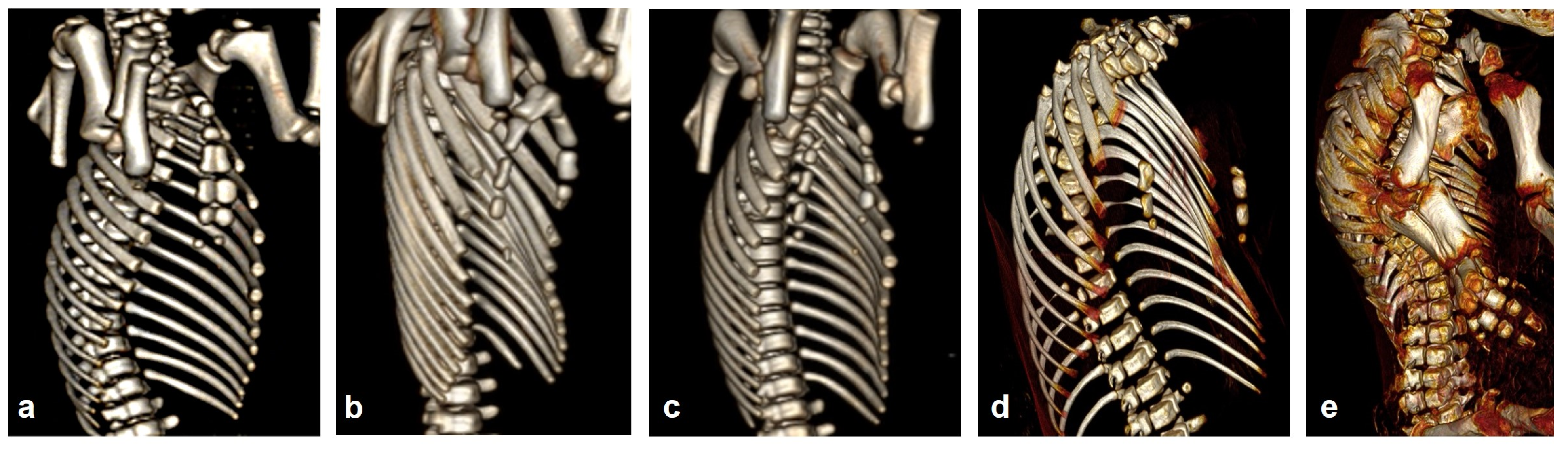 Animals 15 00460 g004