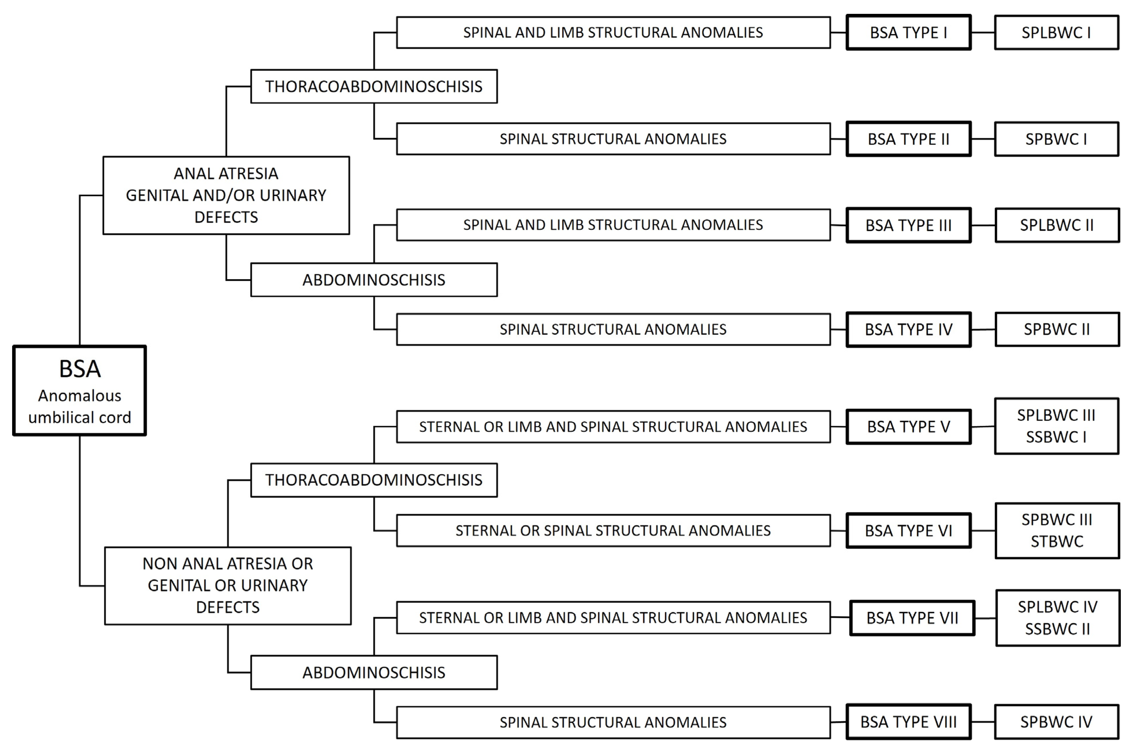 Animals 15 00460 g007