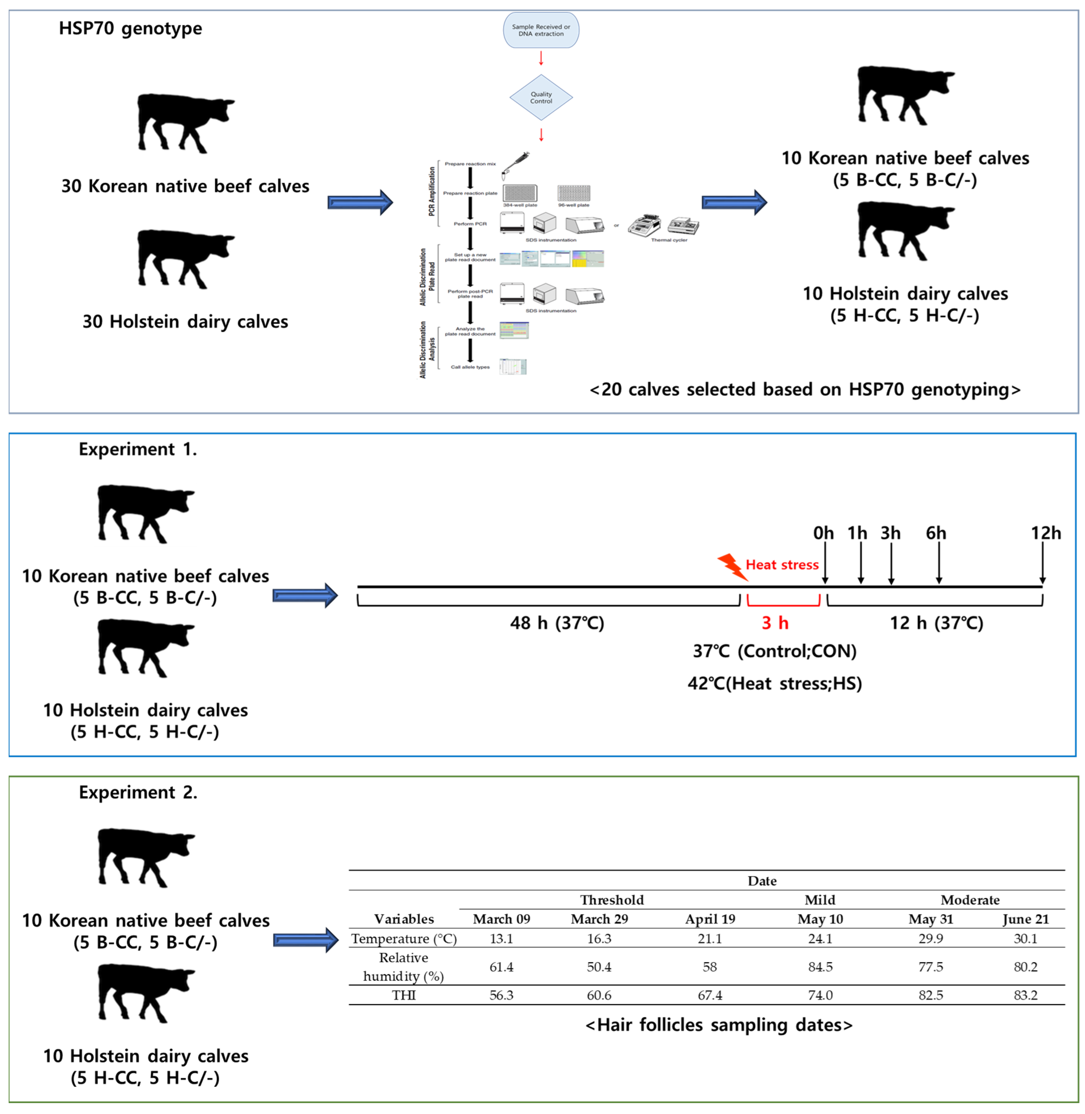 Animals 15 00475 g001