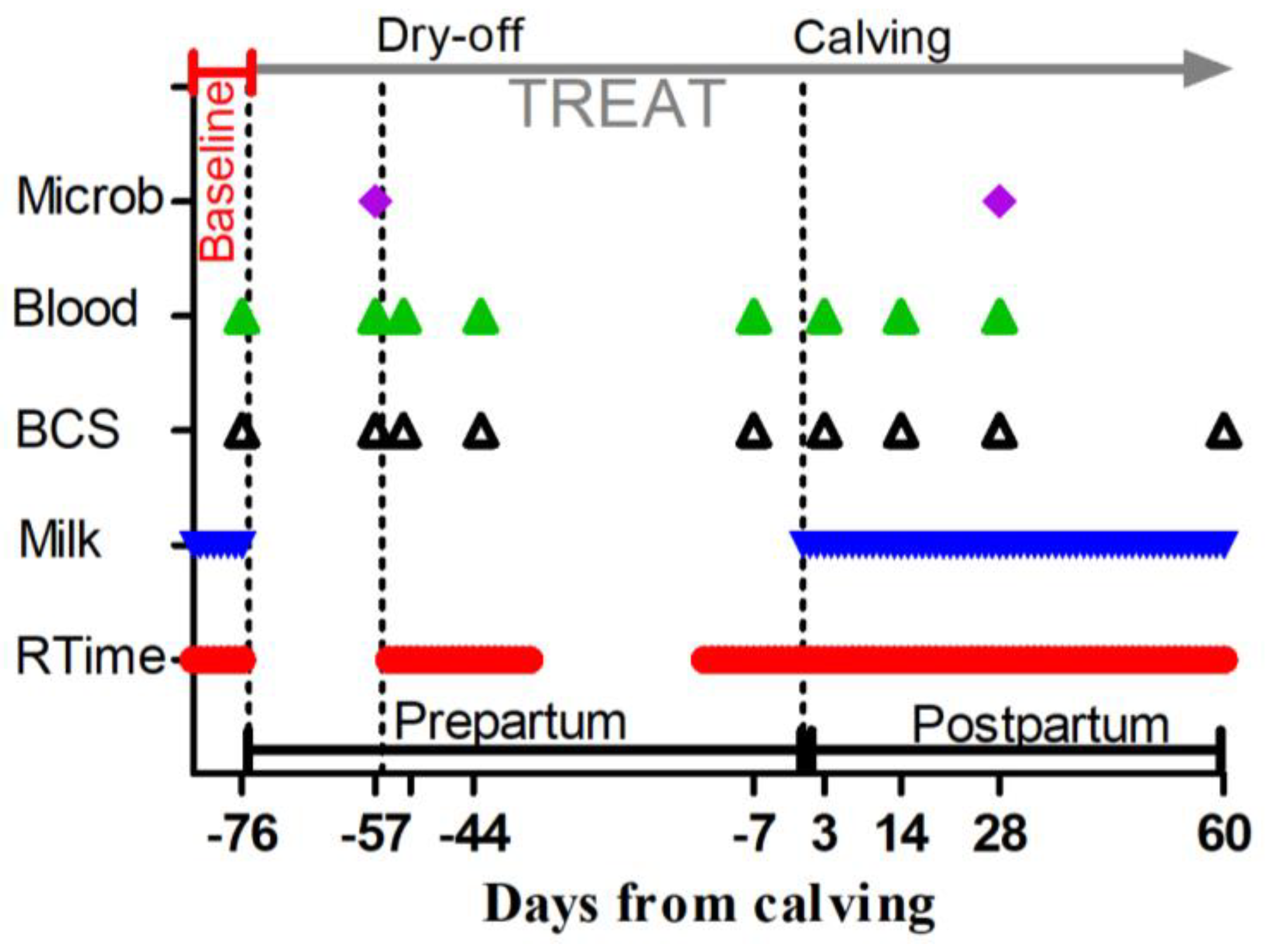 Animals 15 00480 g001