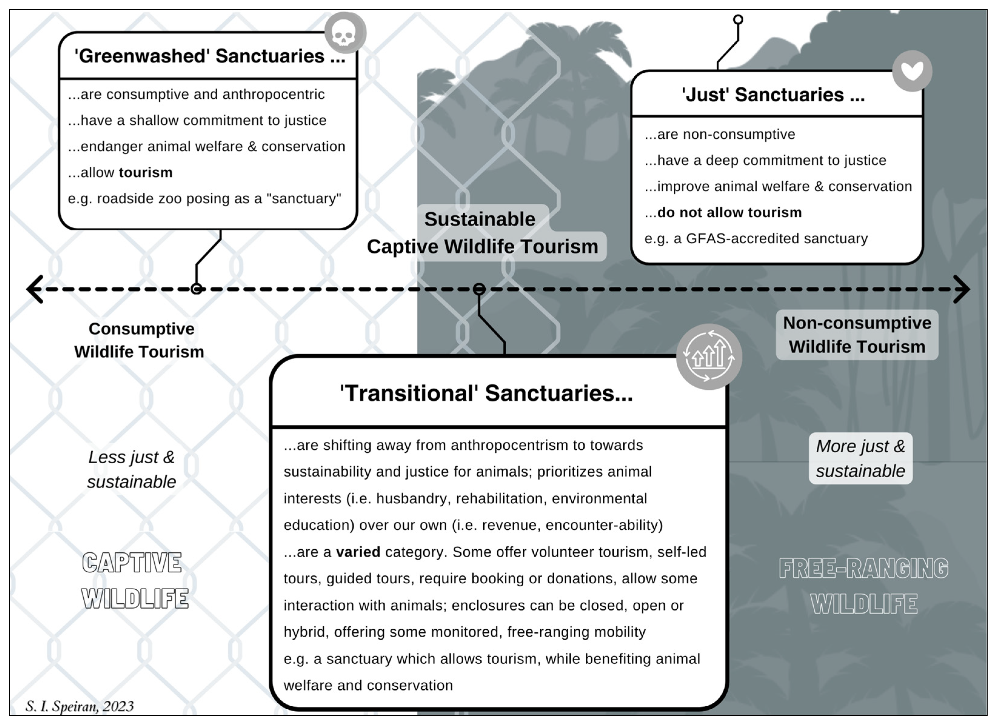 Animals 15 00496 g001