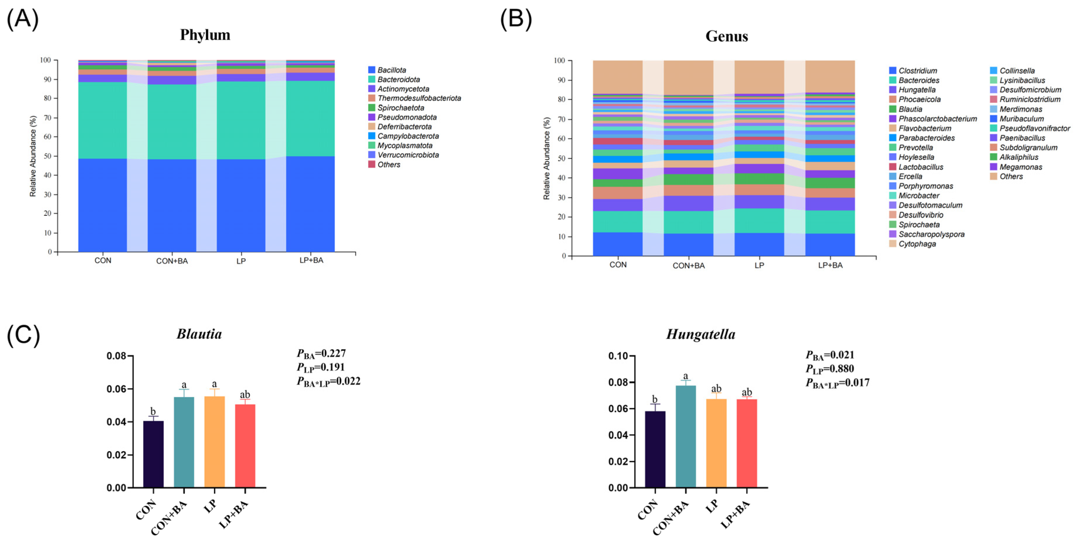 Animals 15 00500 g005
