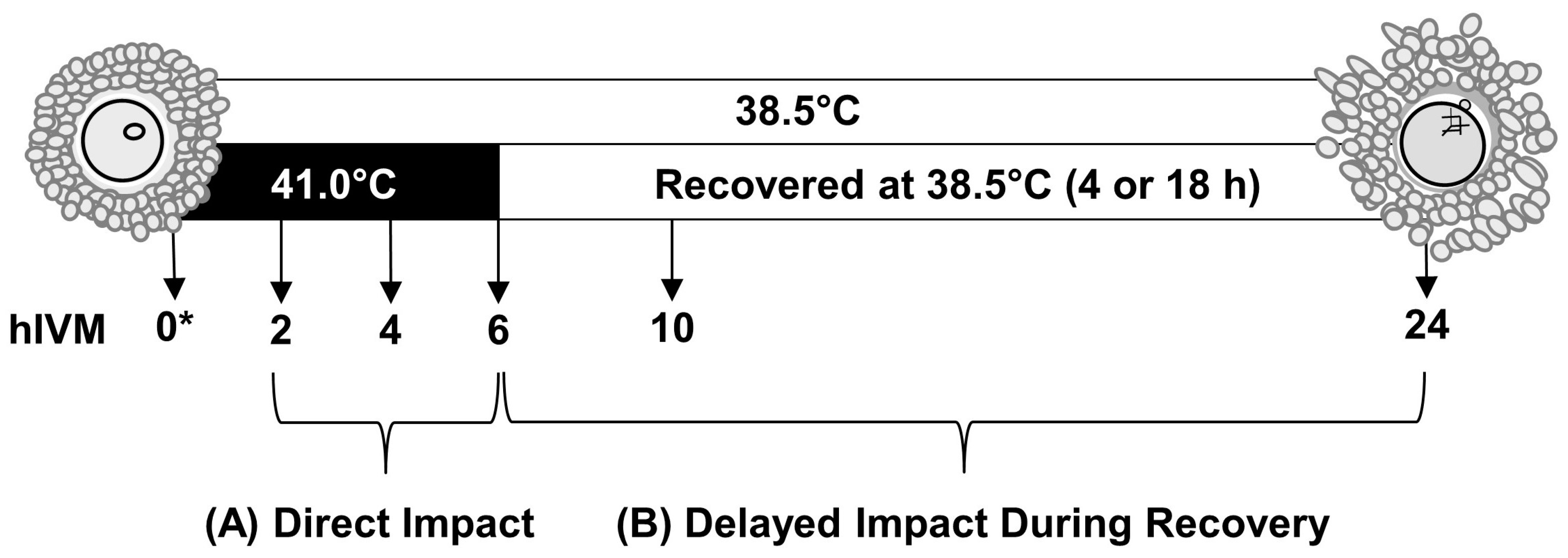 Animals 15 00517 g001