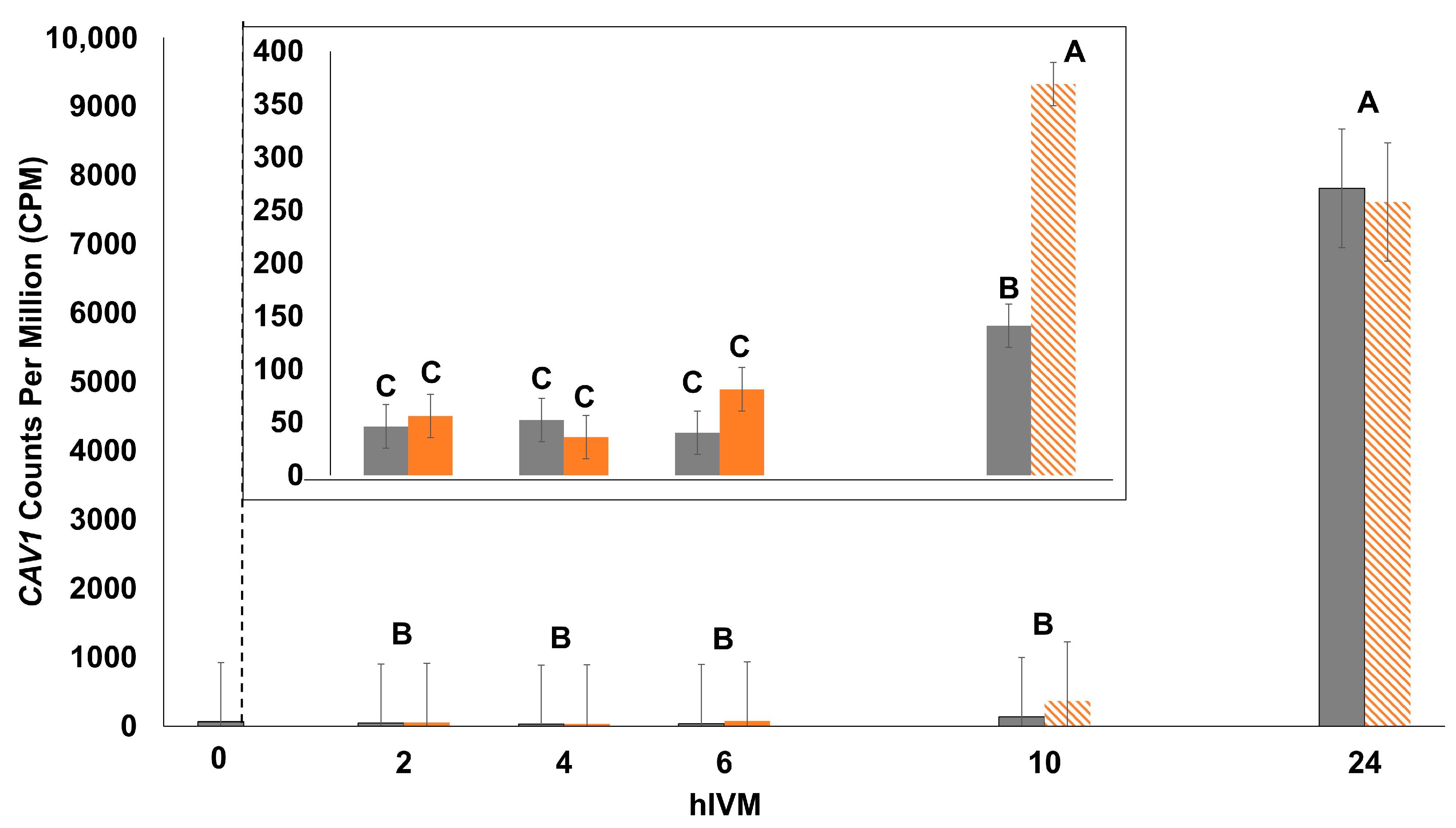 Animals 15 00517 g003