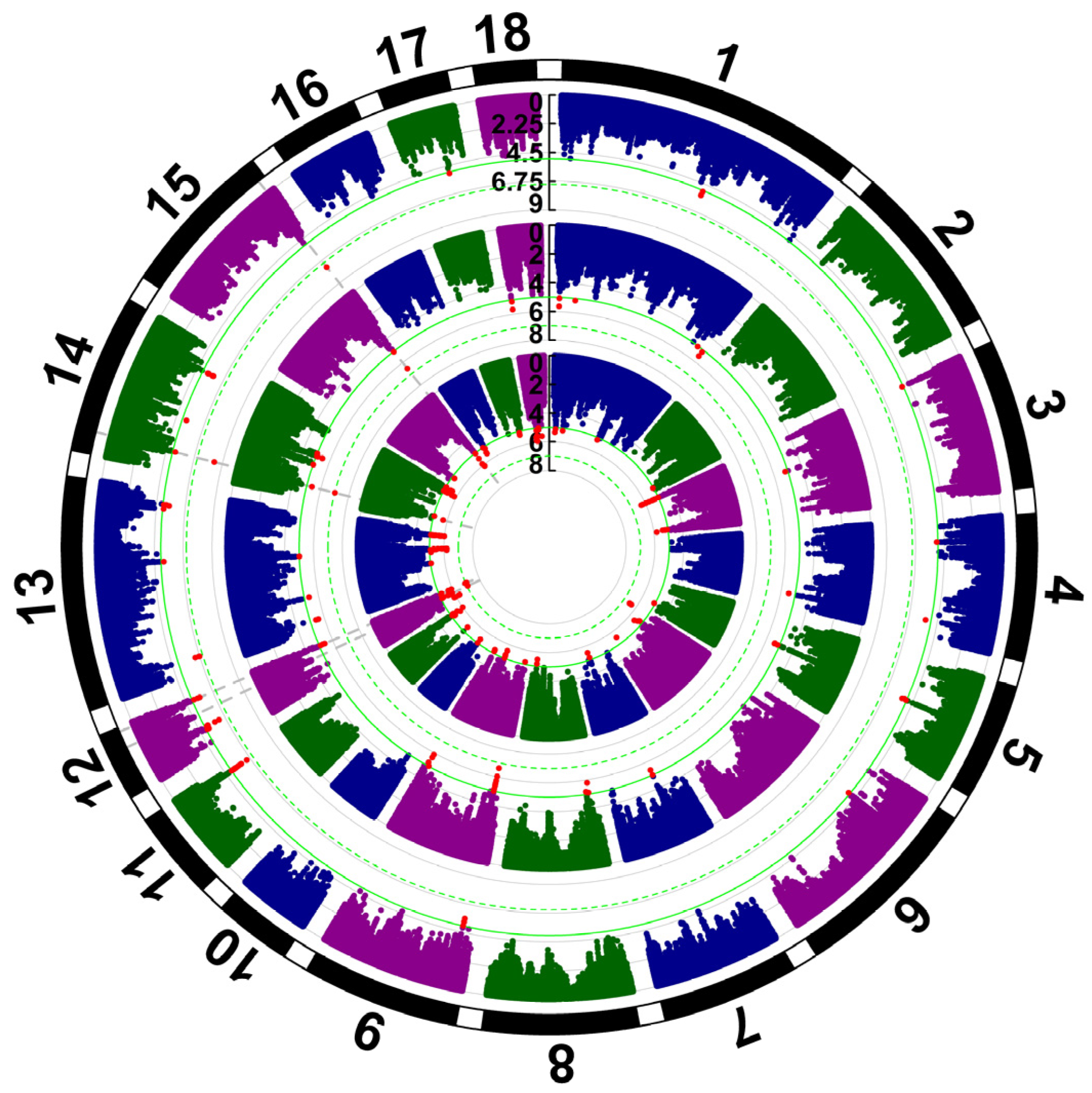 Animals 15 00525 g002