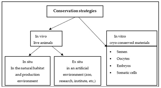 Animals 15 00529 g001