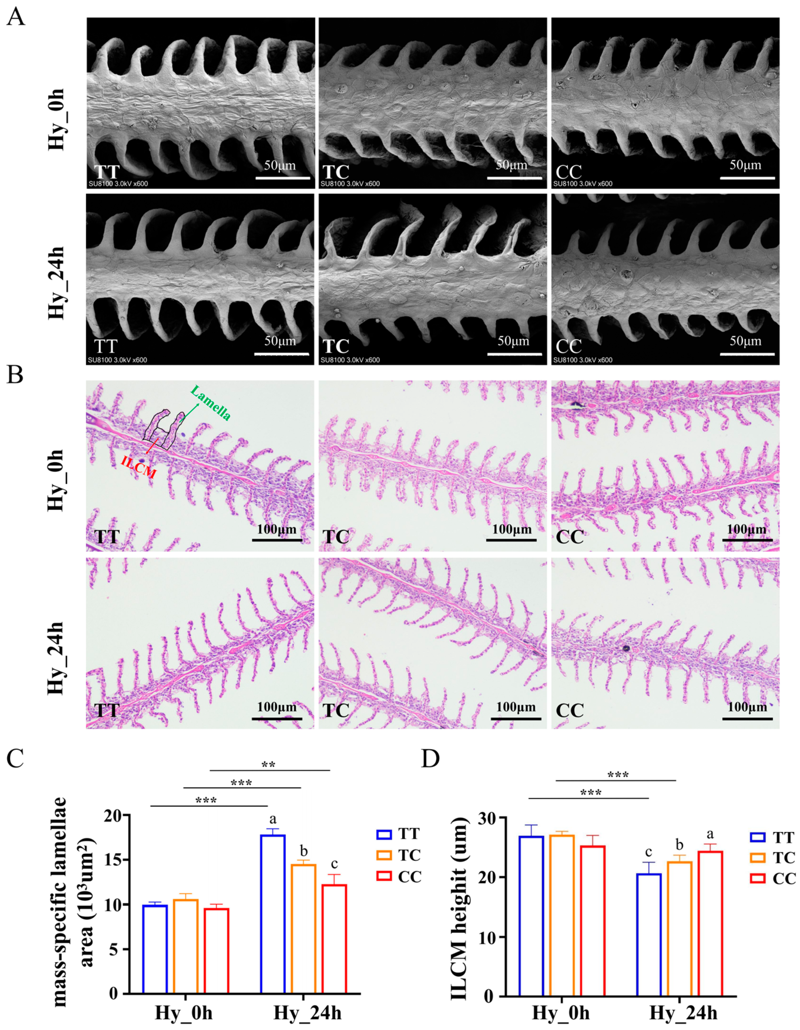 Animals 15 00532 g003