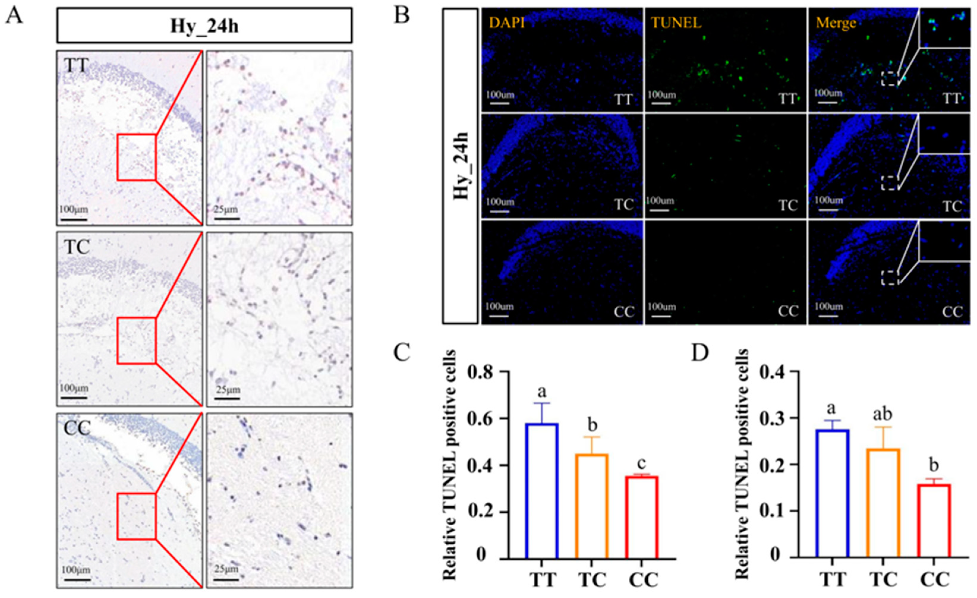 Animals 15 00532 g004