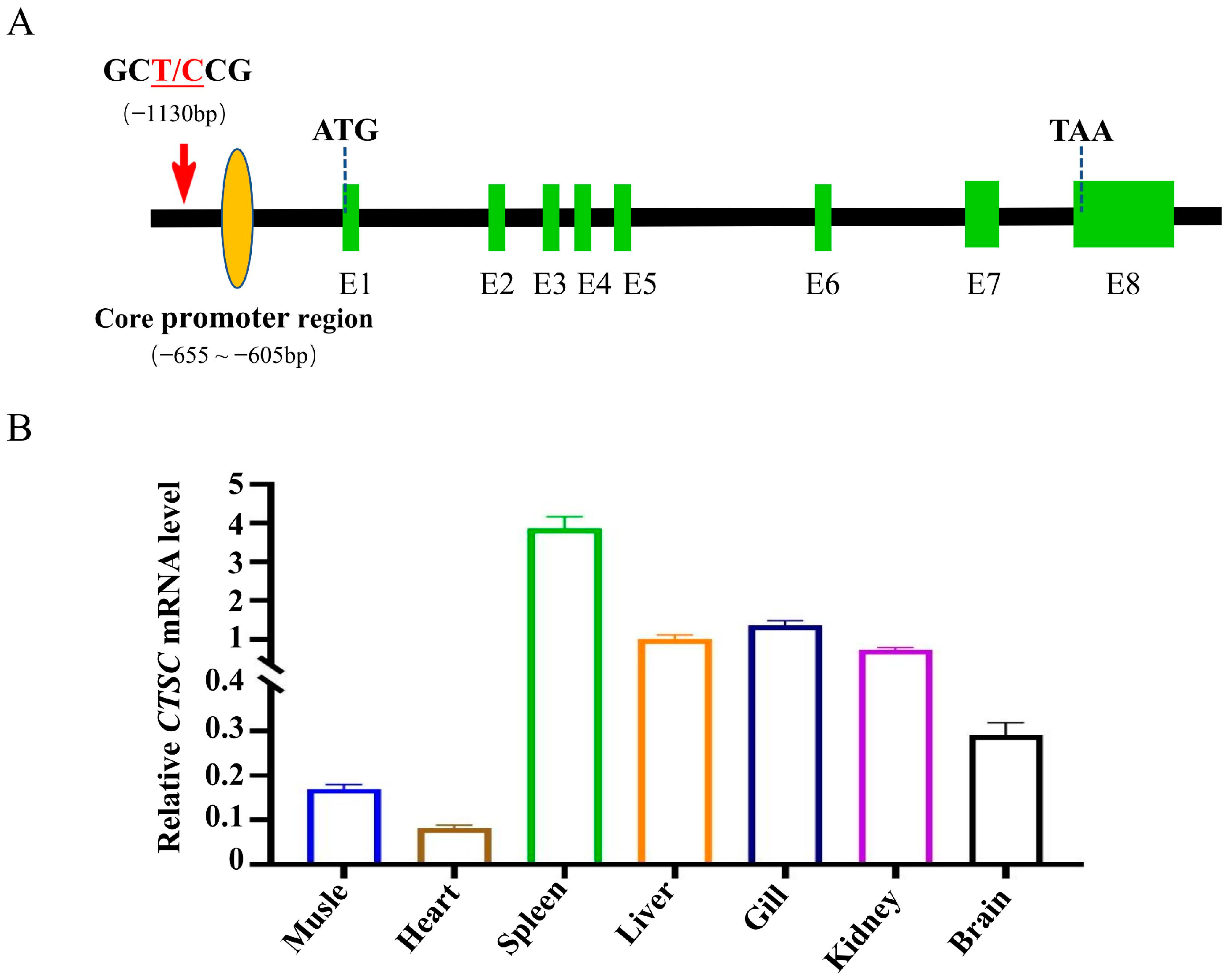 Animals 15 00532 g005