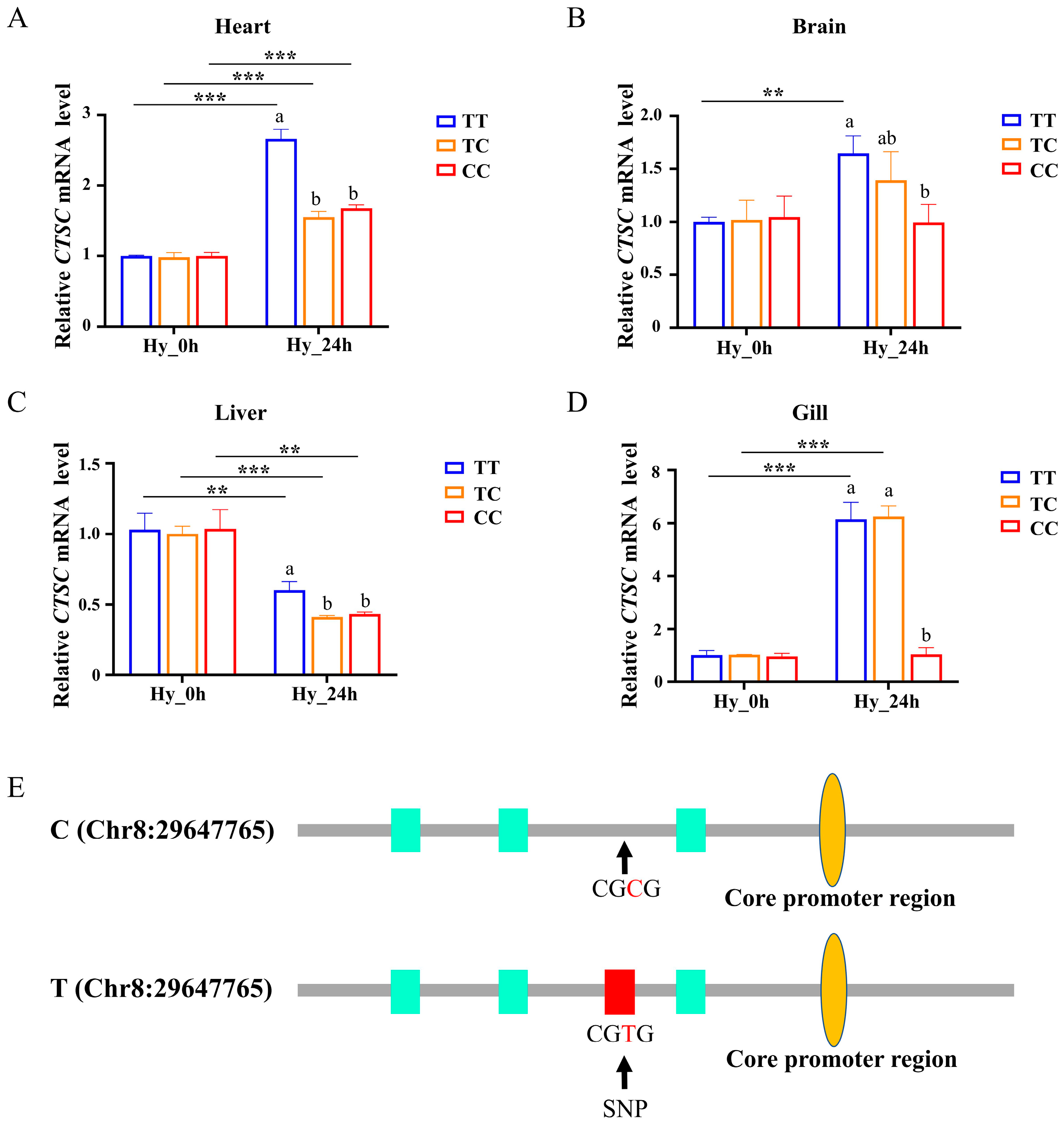 Animals 15 00532 g006