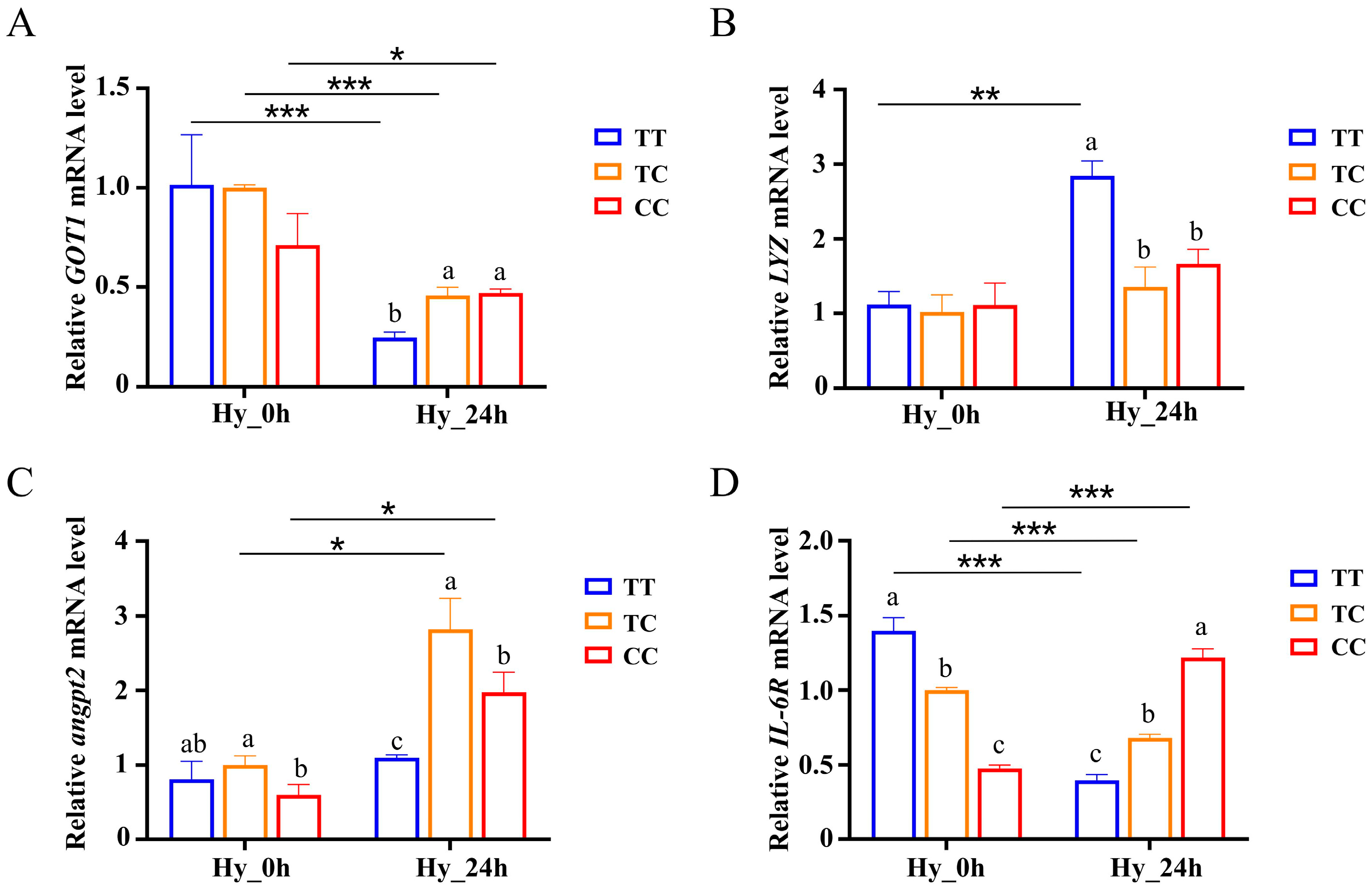 Animals 15 00532 g007