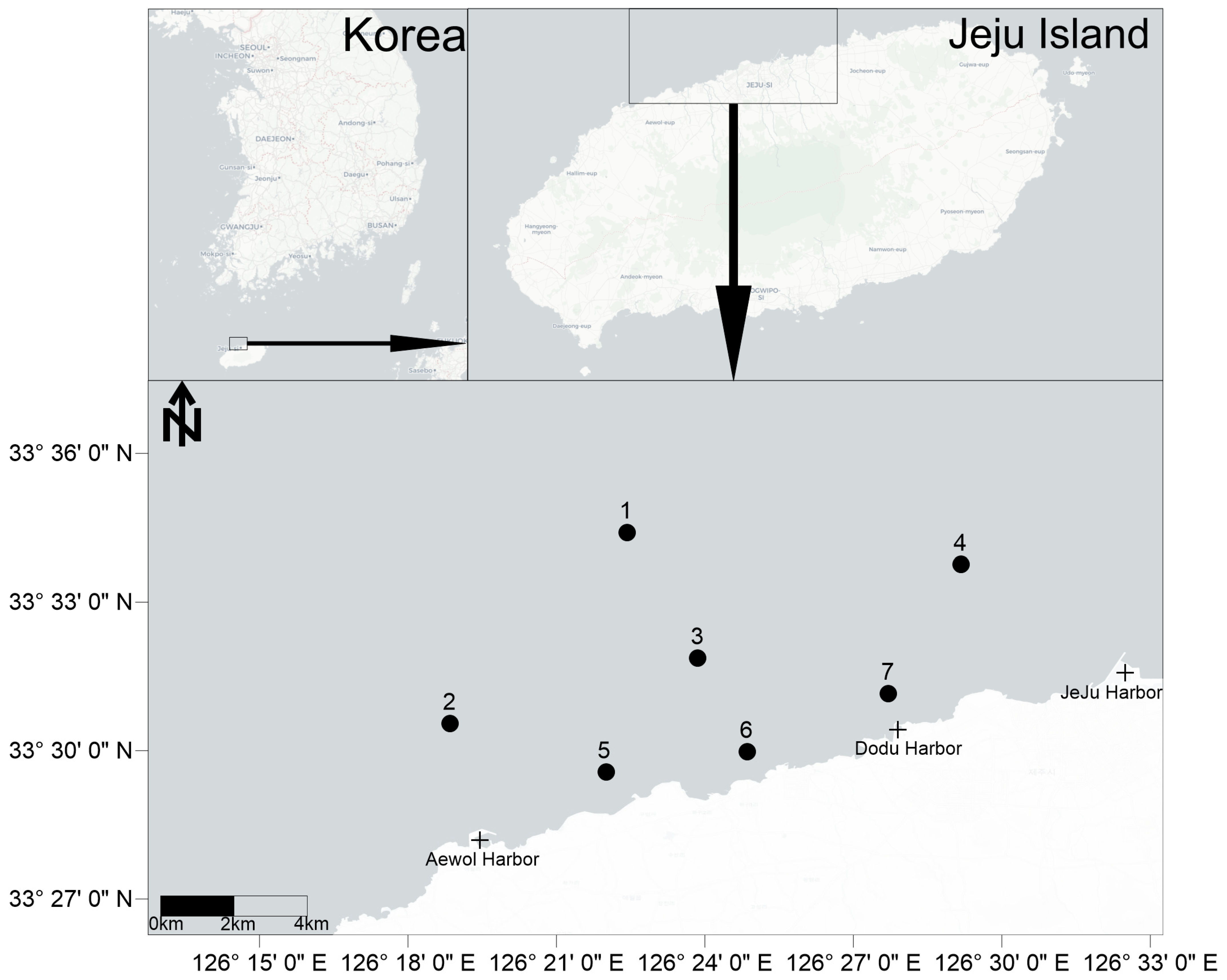 Animals 15 00539 g001