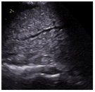 Animals 15 00549 i004