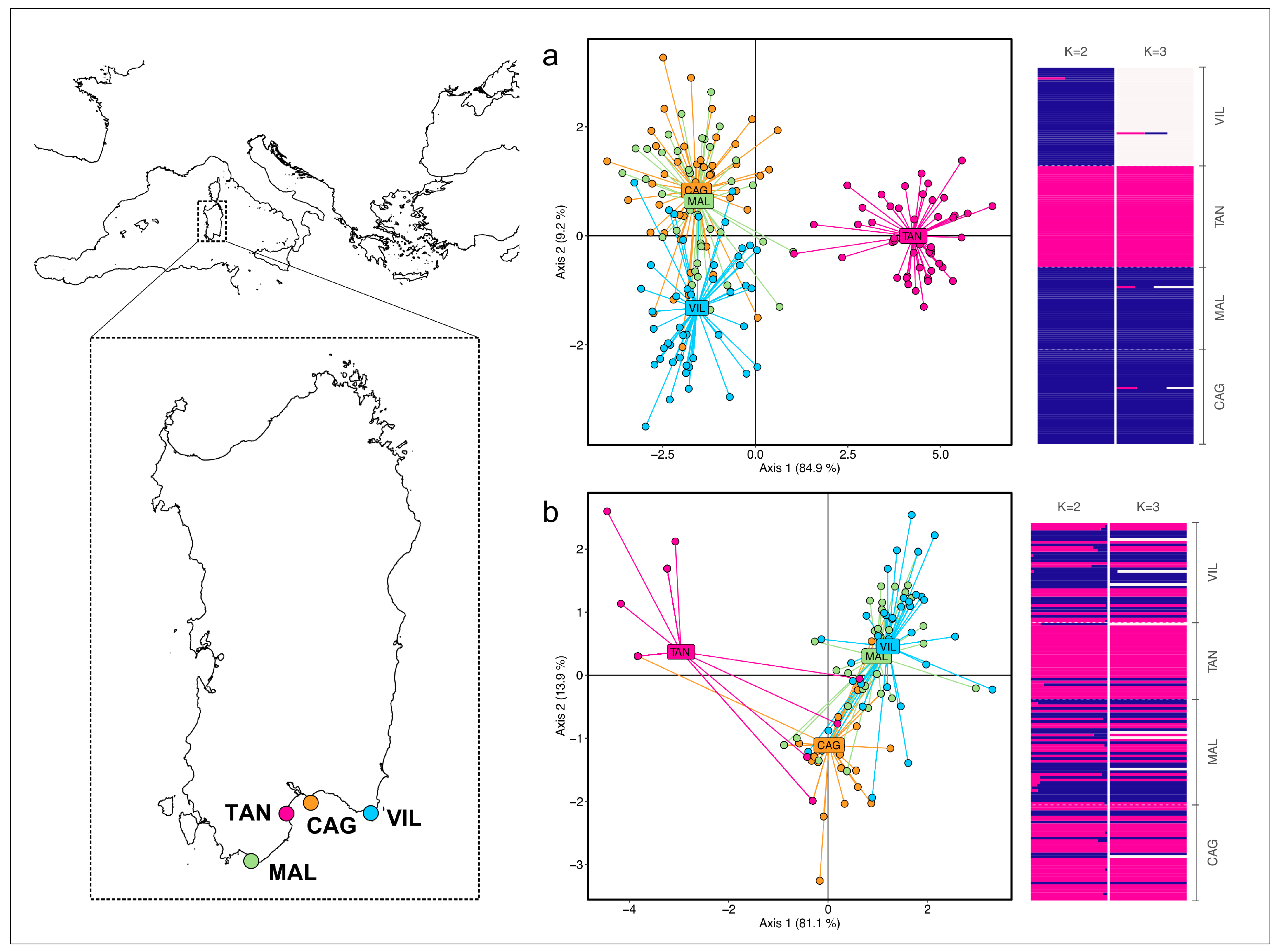 Animals 15 00554 g001