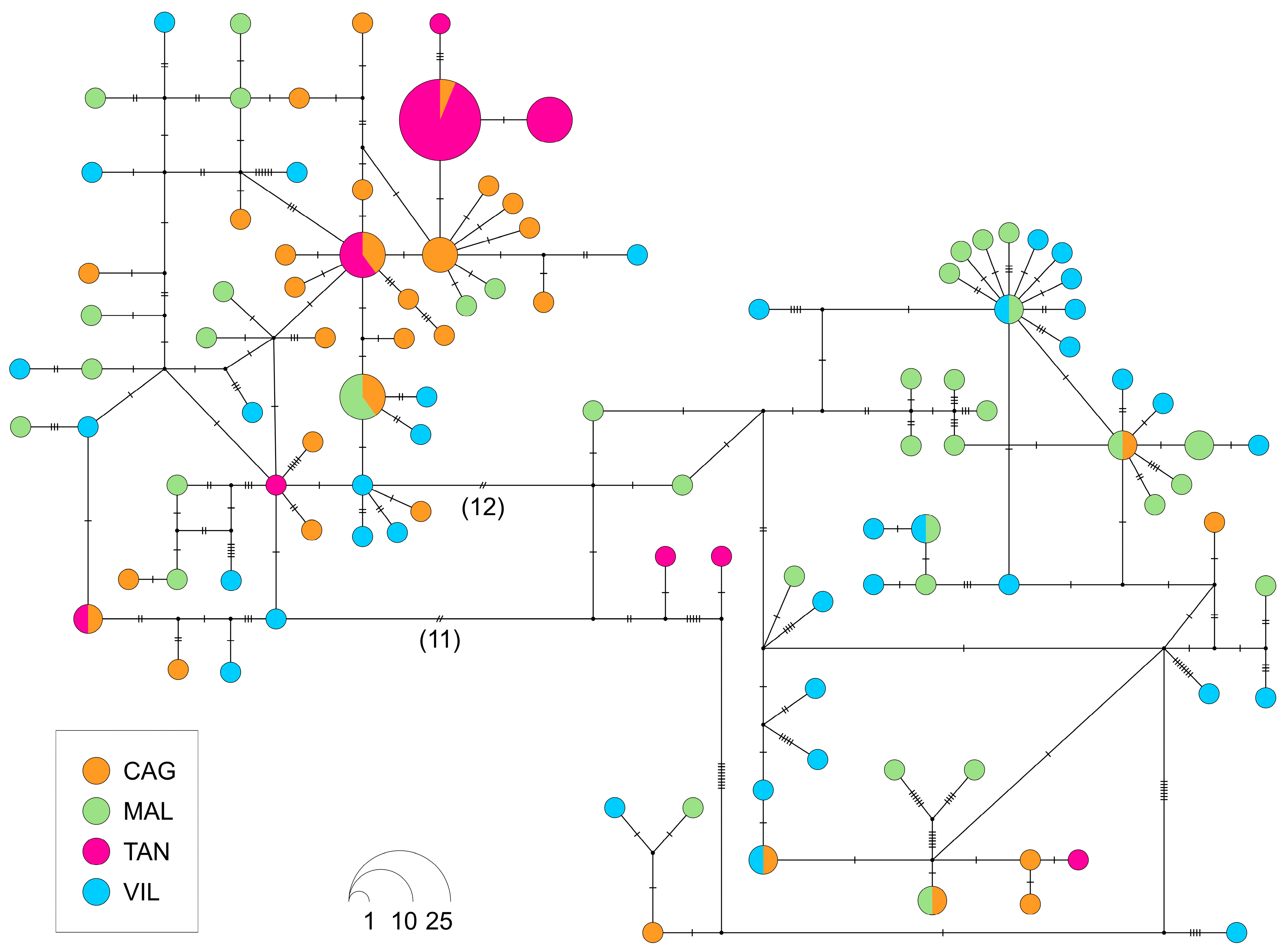 Animals 15 00554 g002