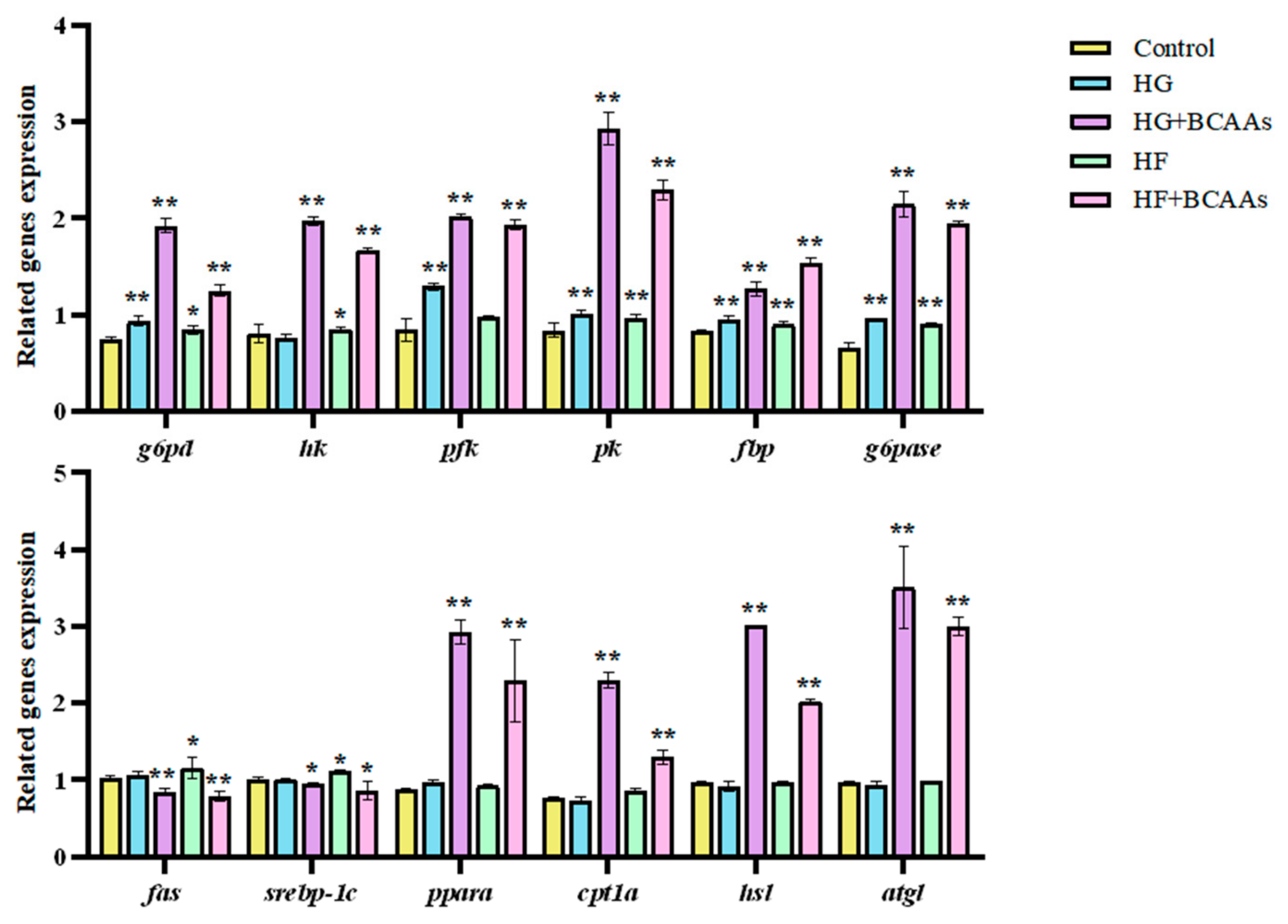Animals 15 00560 g004