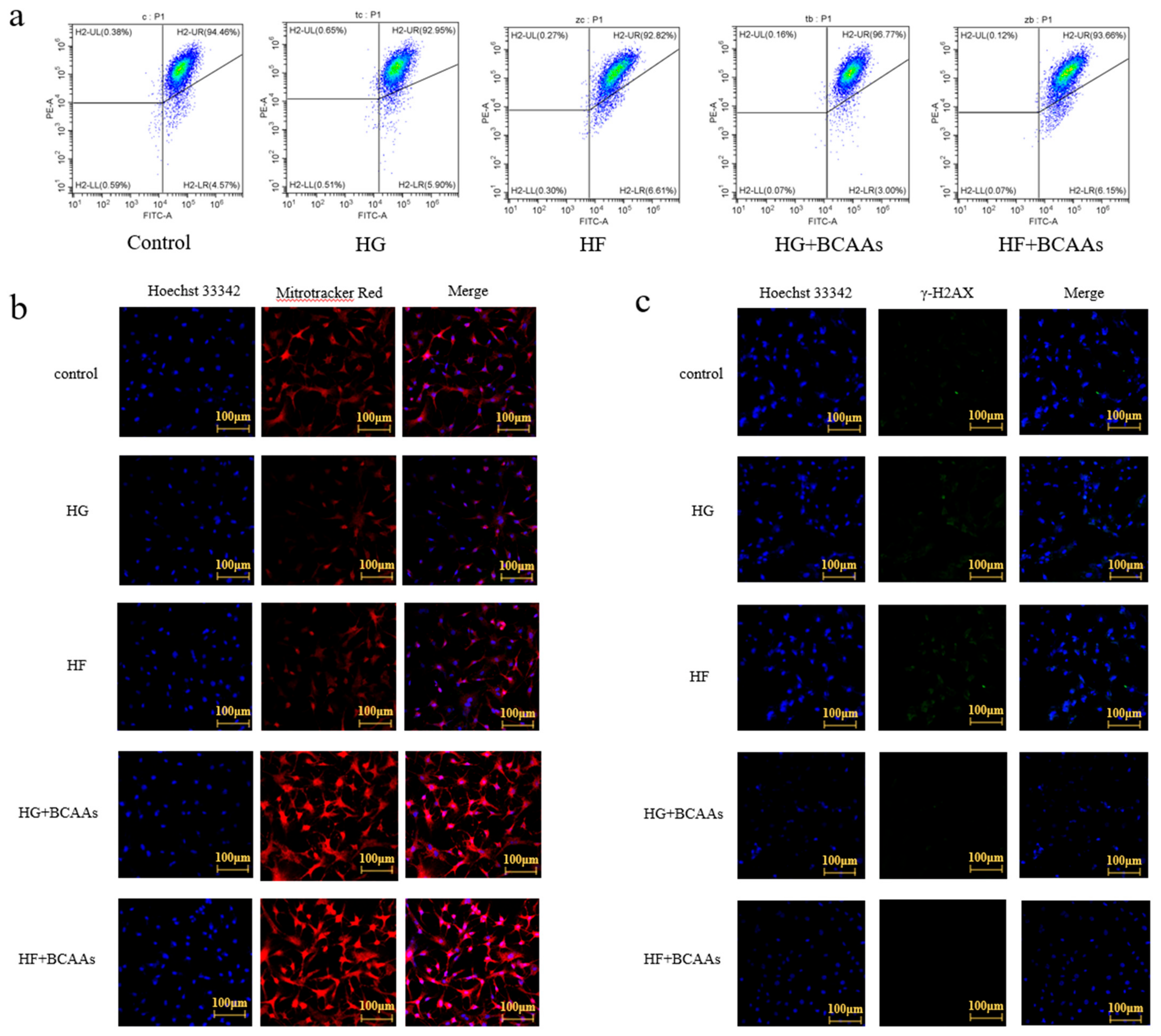 Animals 15 00560 g005