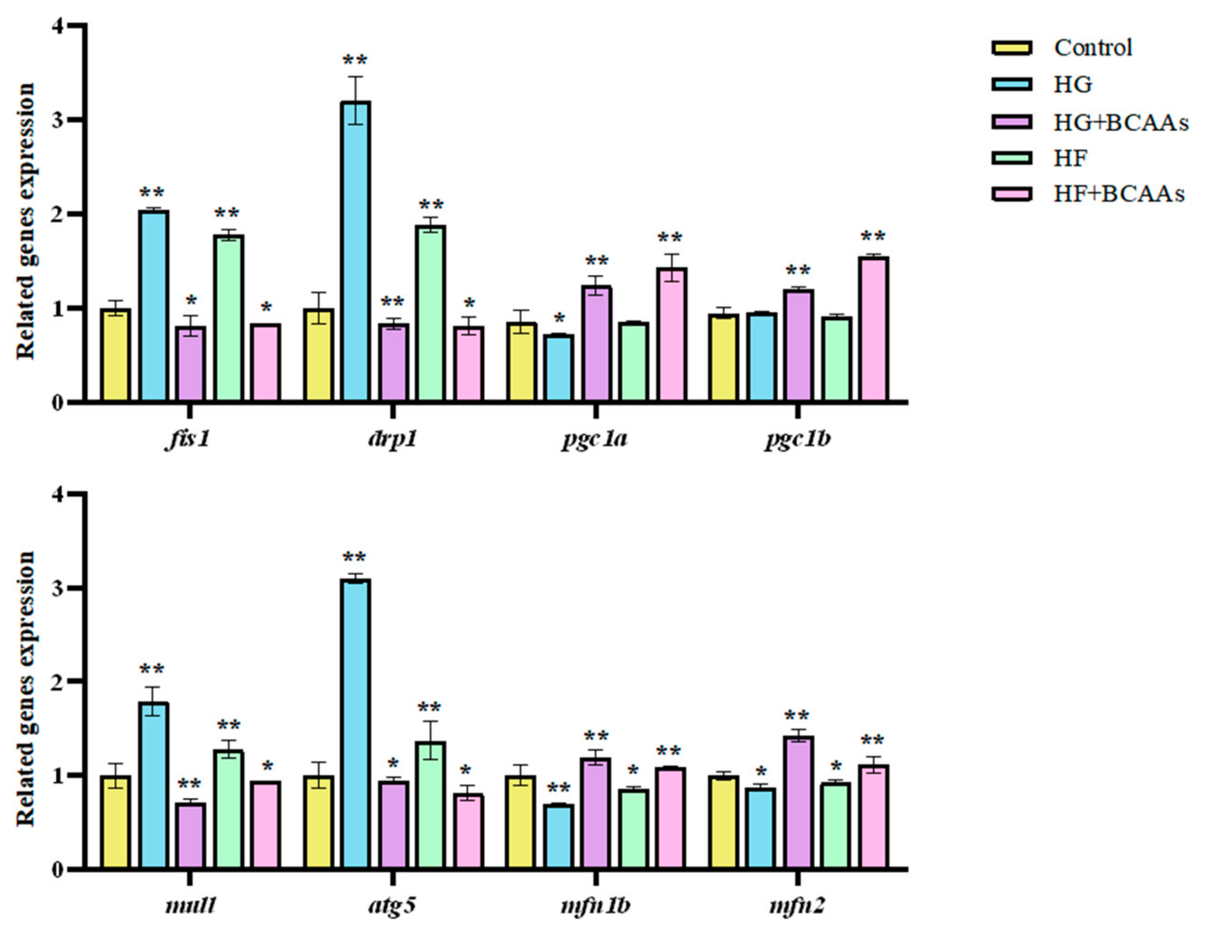 Animals 15 00560 g006