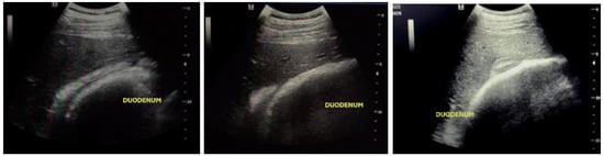 Animals 15 00571 g003