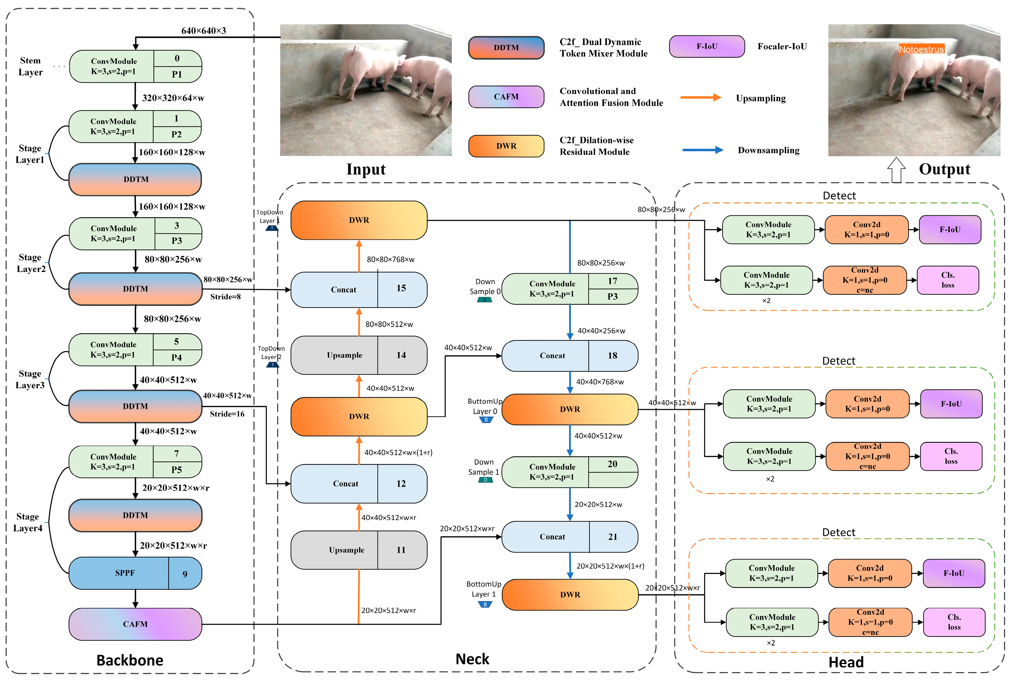 Animals 15 00580 g009
