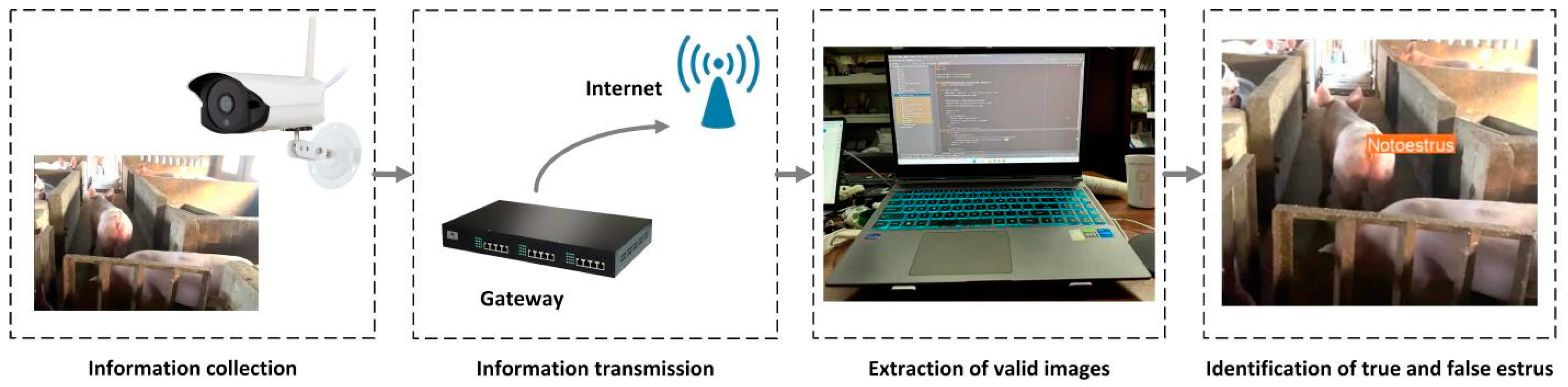 Animals 15 00580 g019