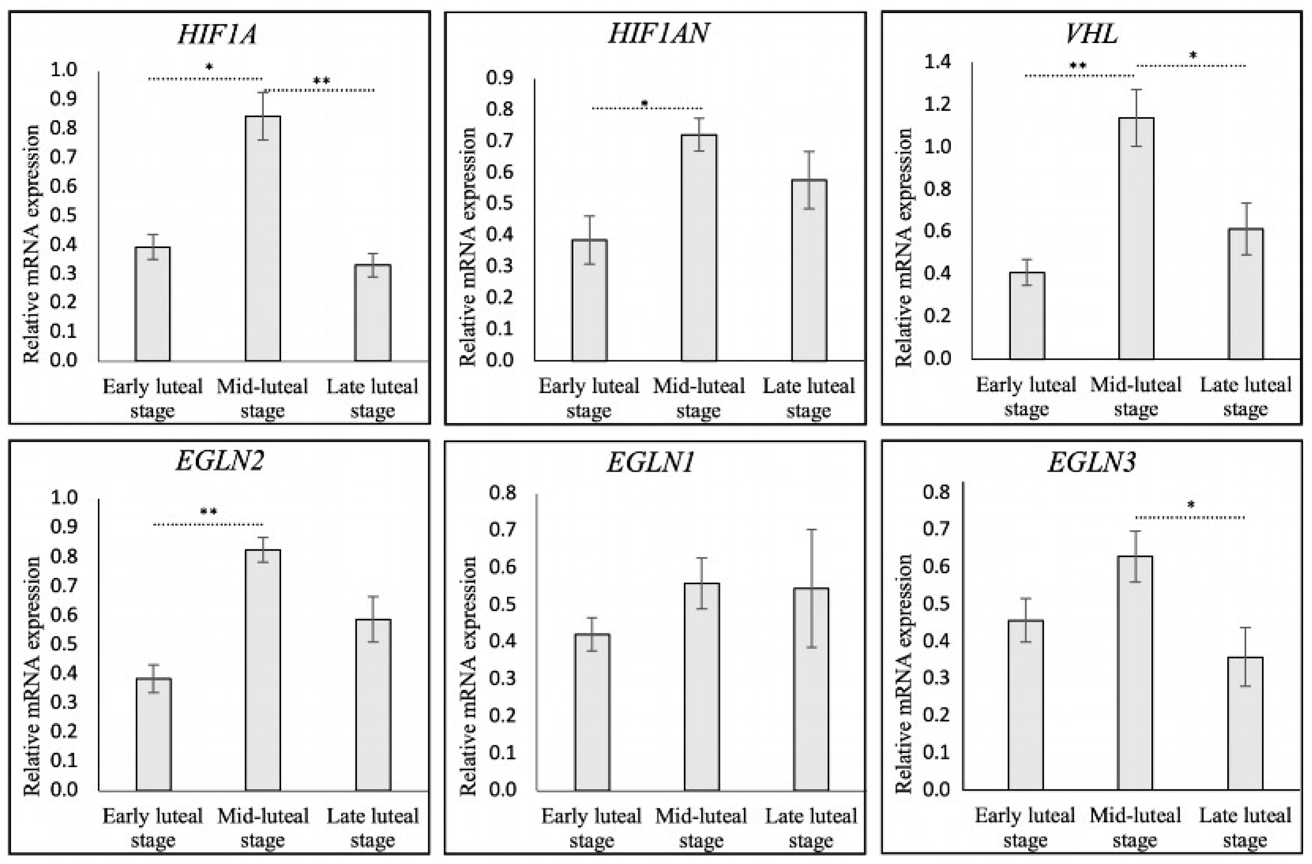 Animals 15 00595 g001 Animals 15 00595 g001