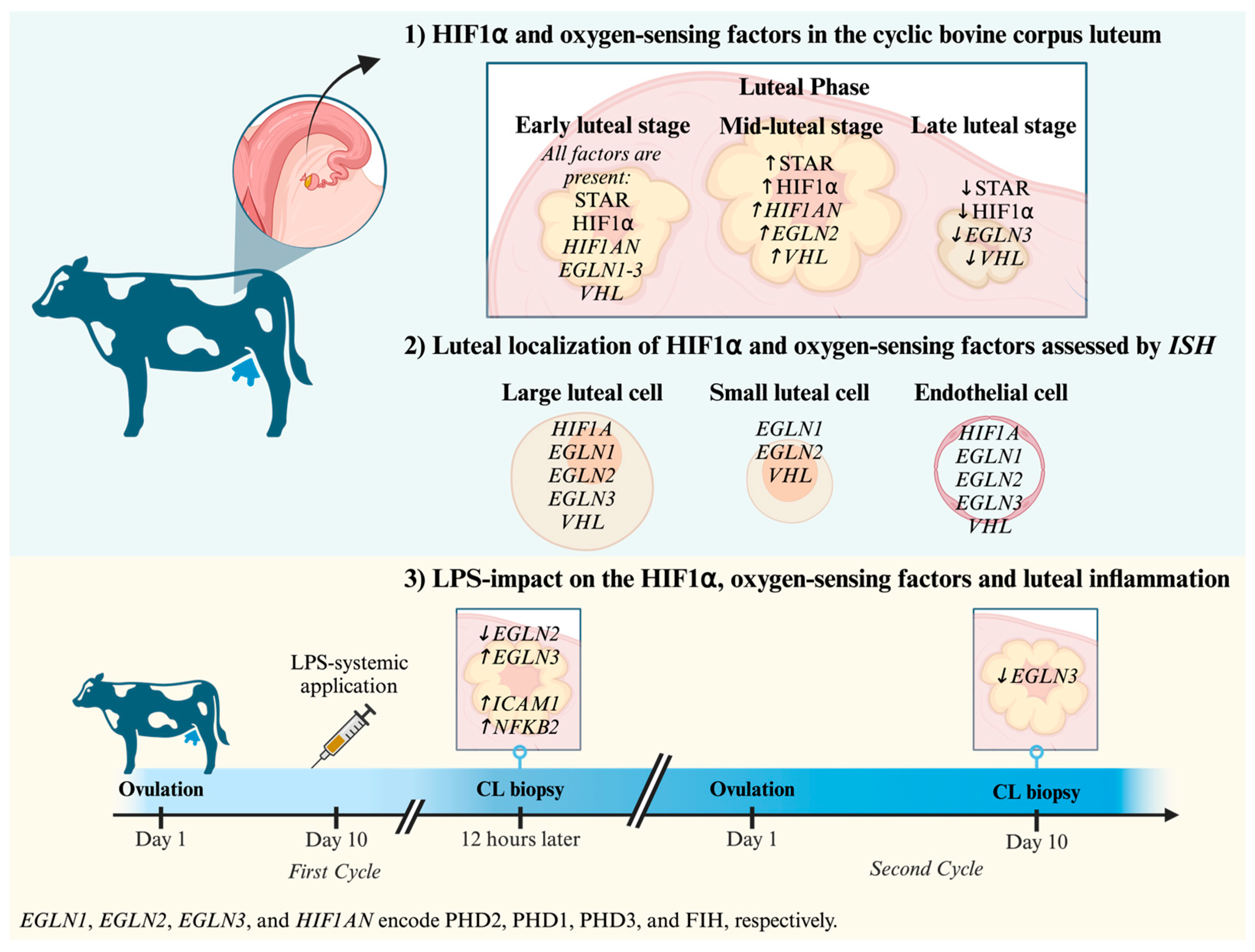 Animals 15 00595 g005 Animals 15 00595 g005