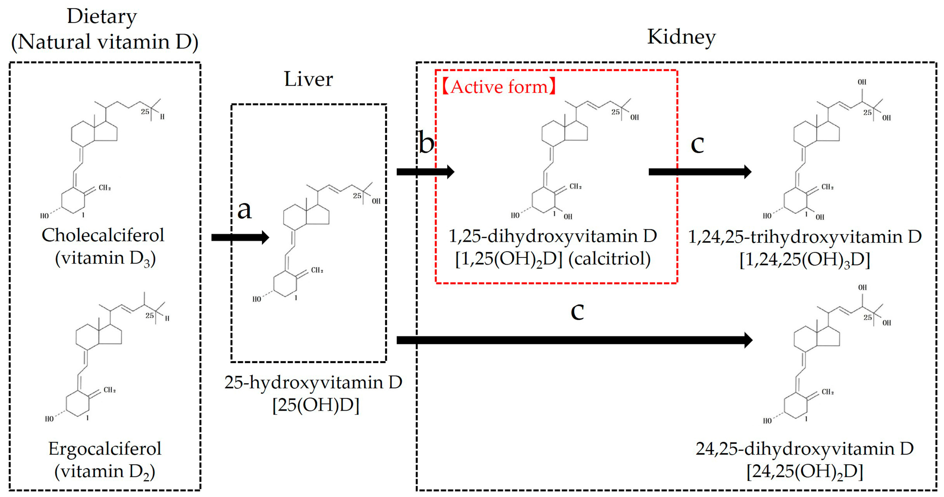 Animals 15 00649 g003
