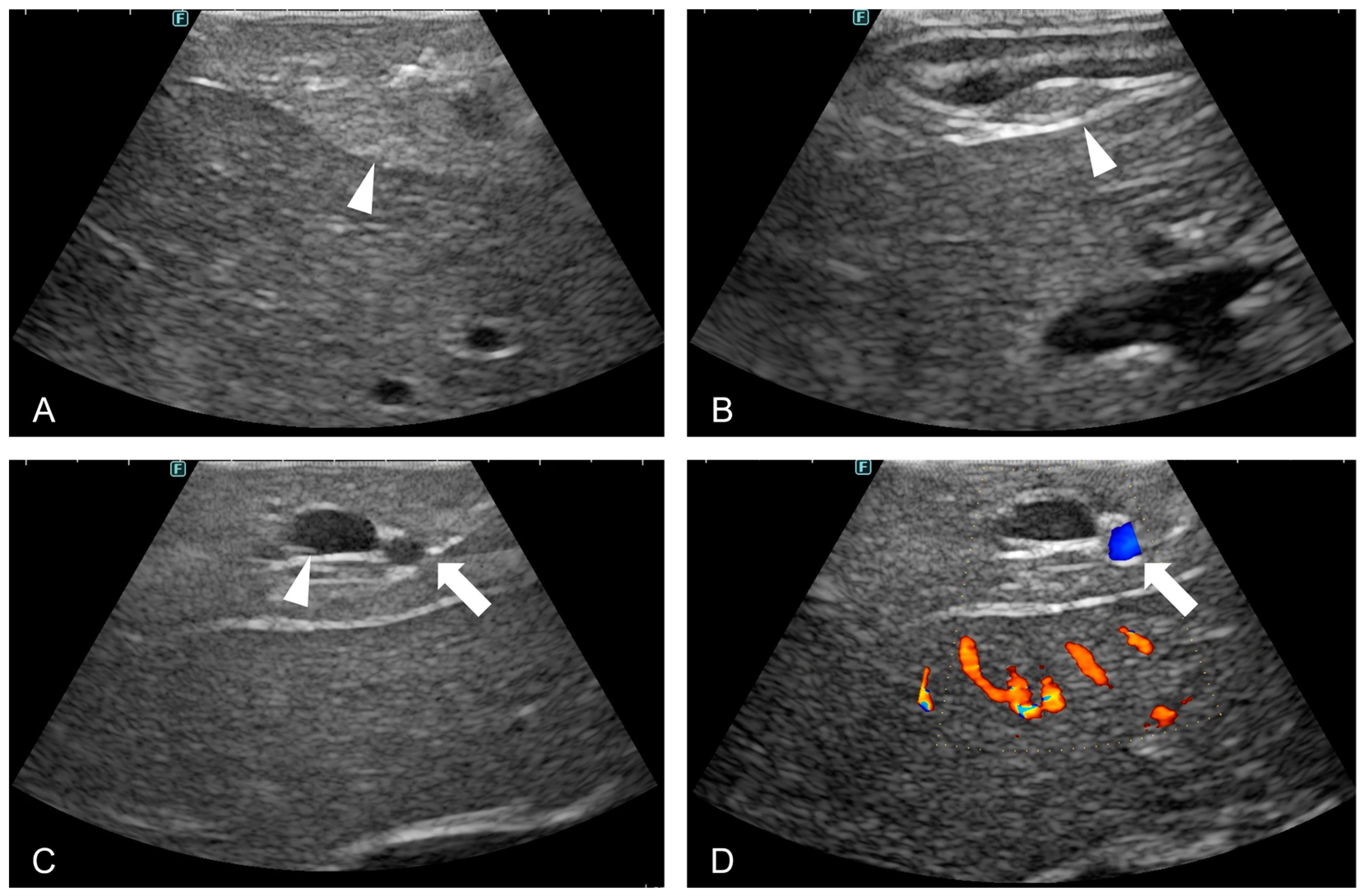 Animals 15 00652 g003