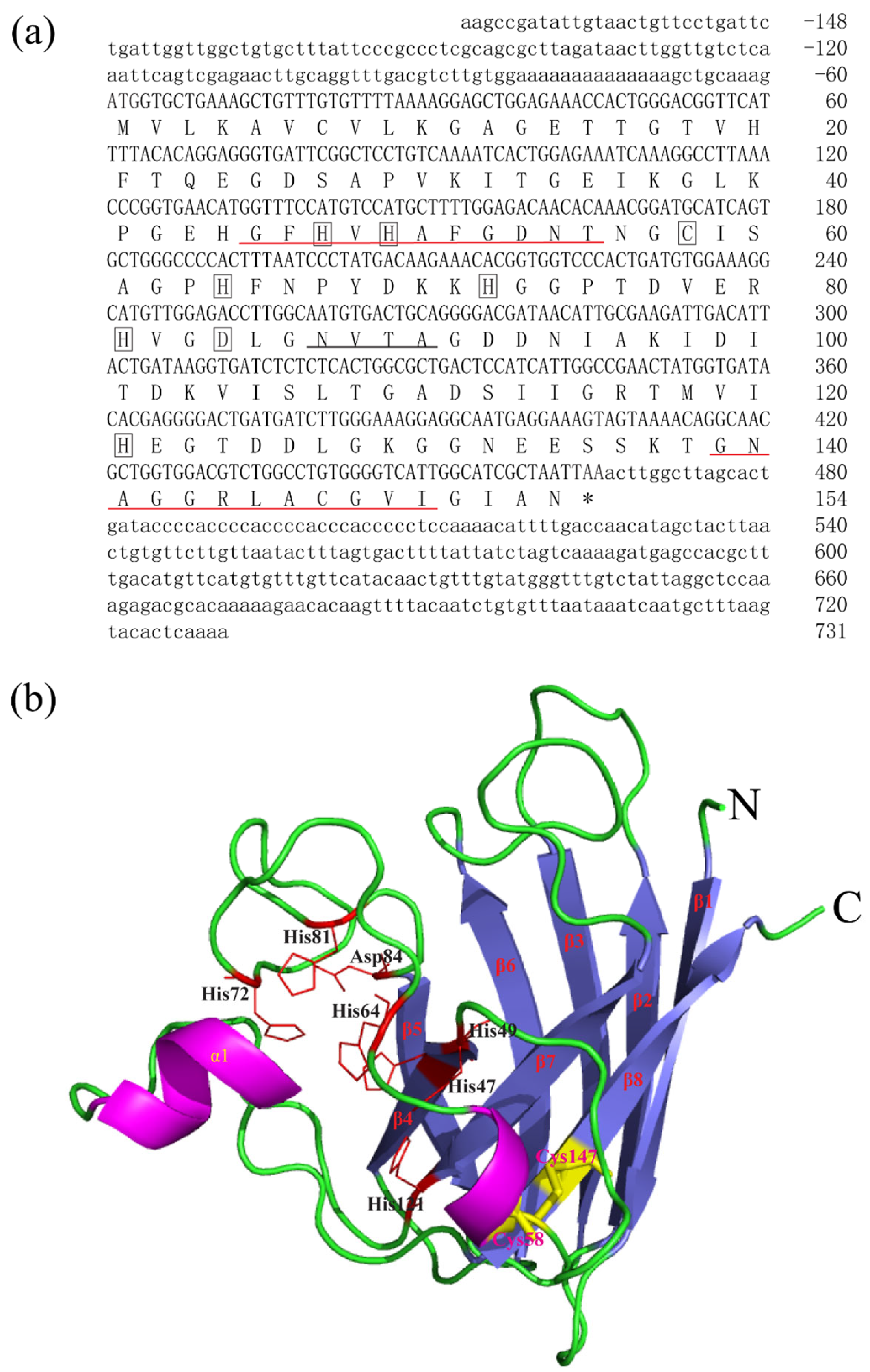 Animals 15 00653 g001
