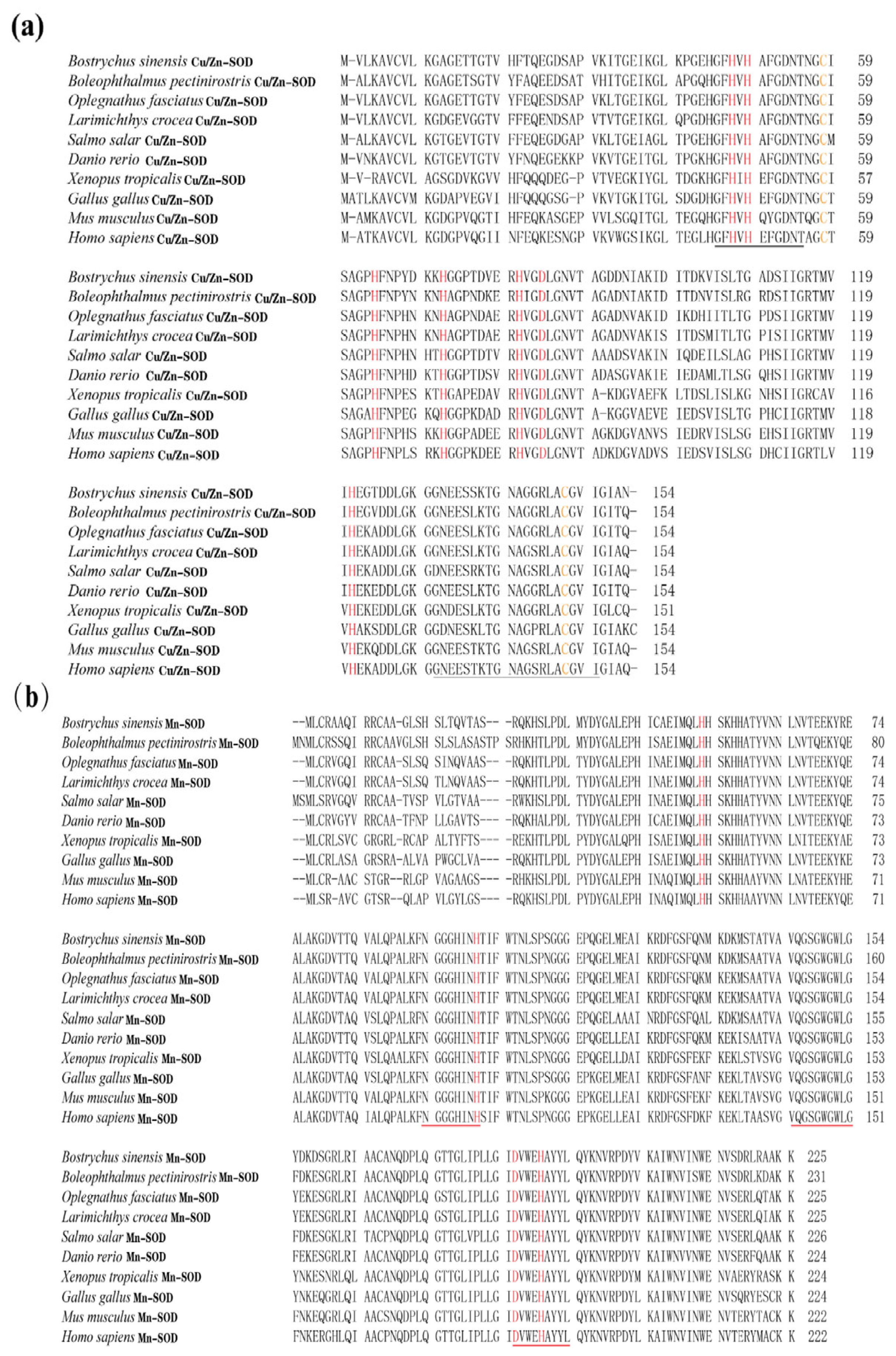 Animals 15 00653 g003