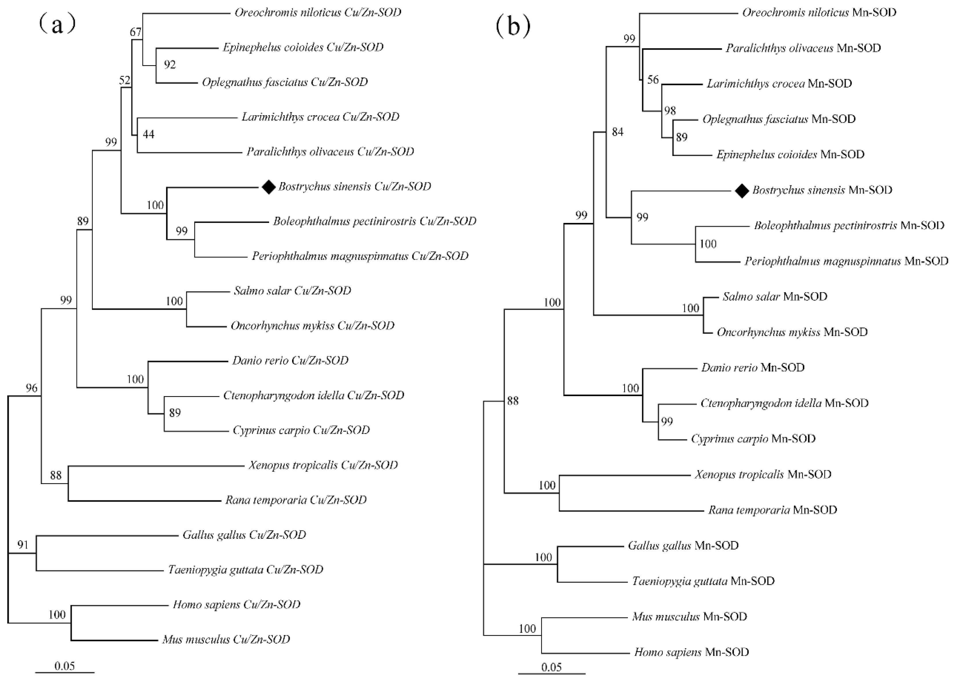 Animals 15 00653 g004