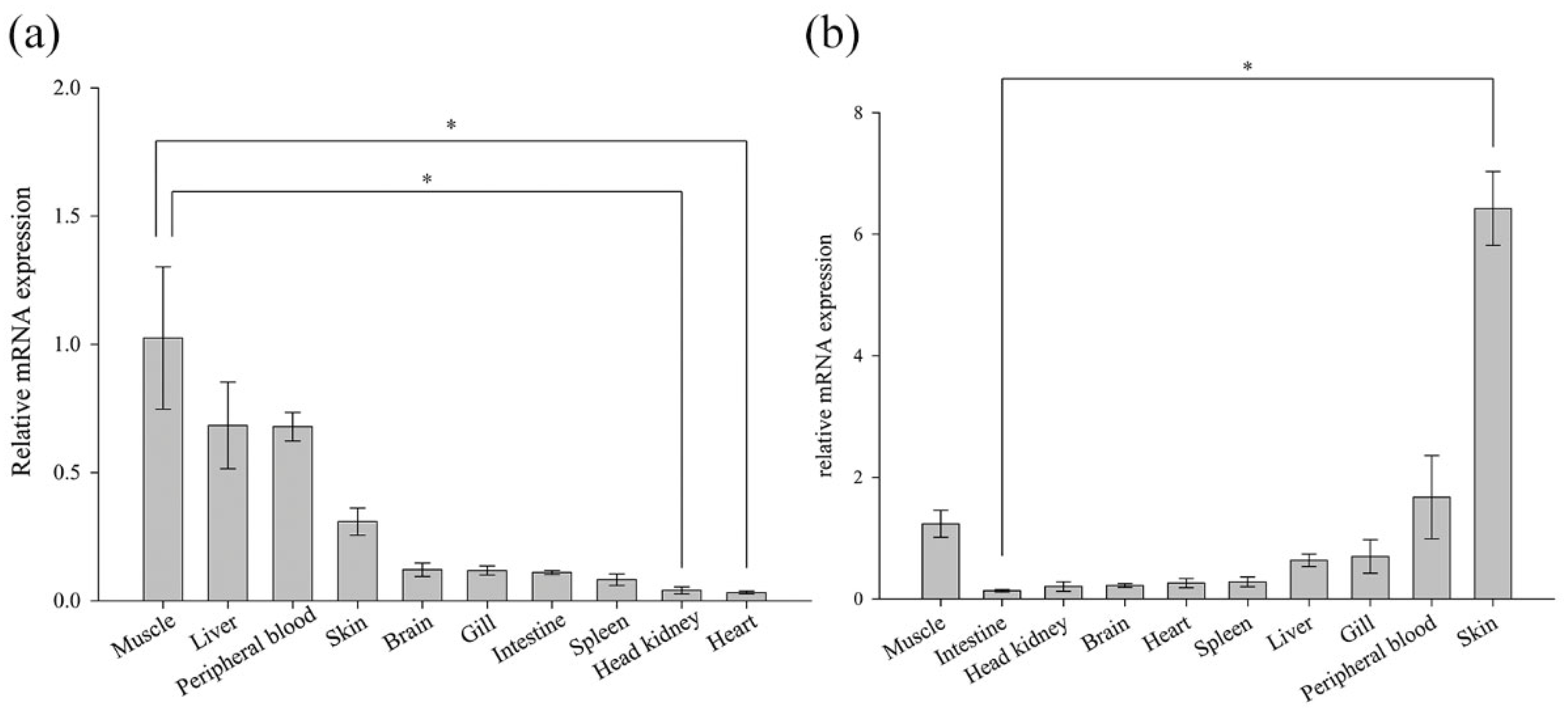 Animals 15 00653 g005