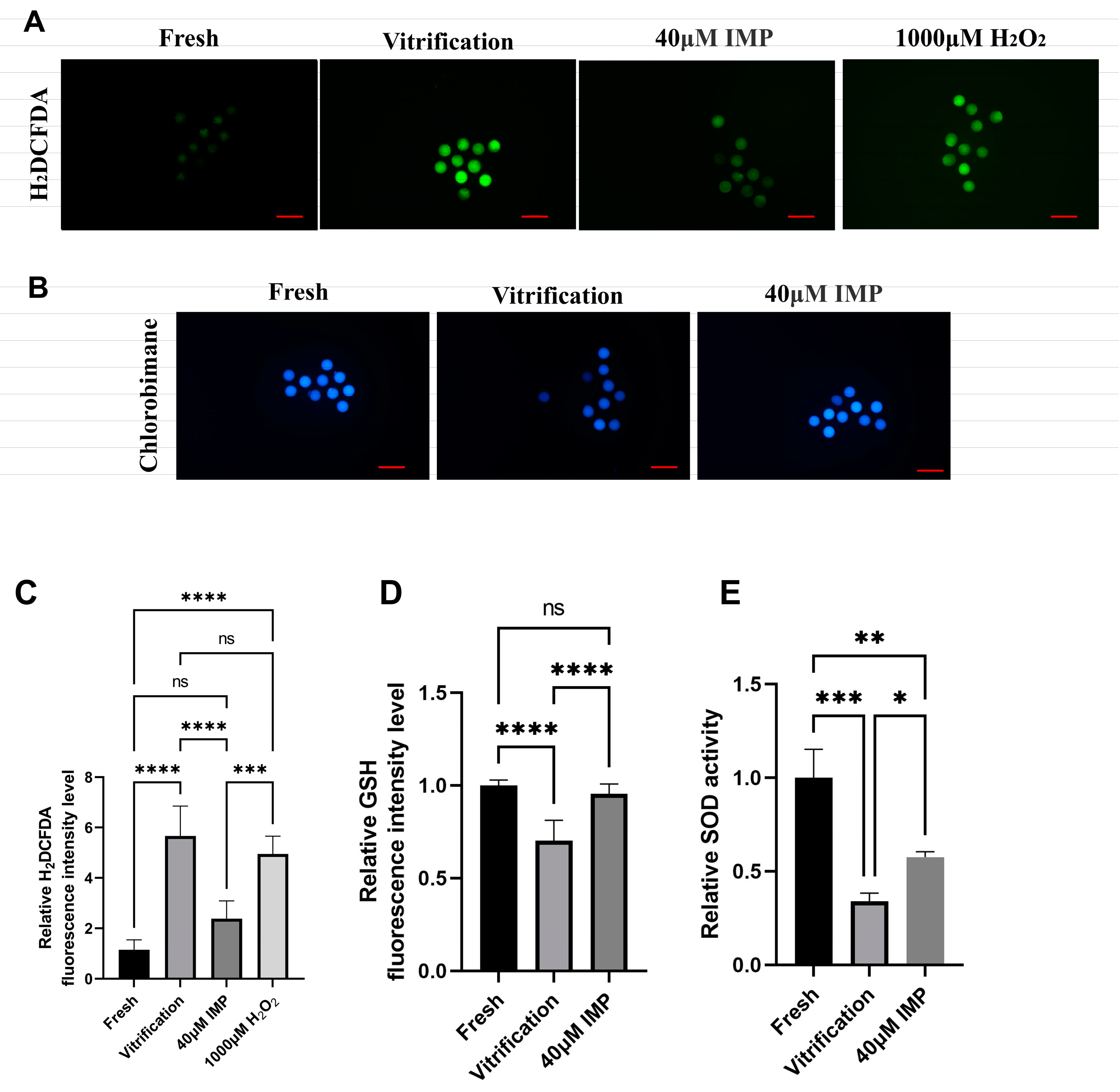 Animals 15 00661 g003