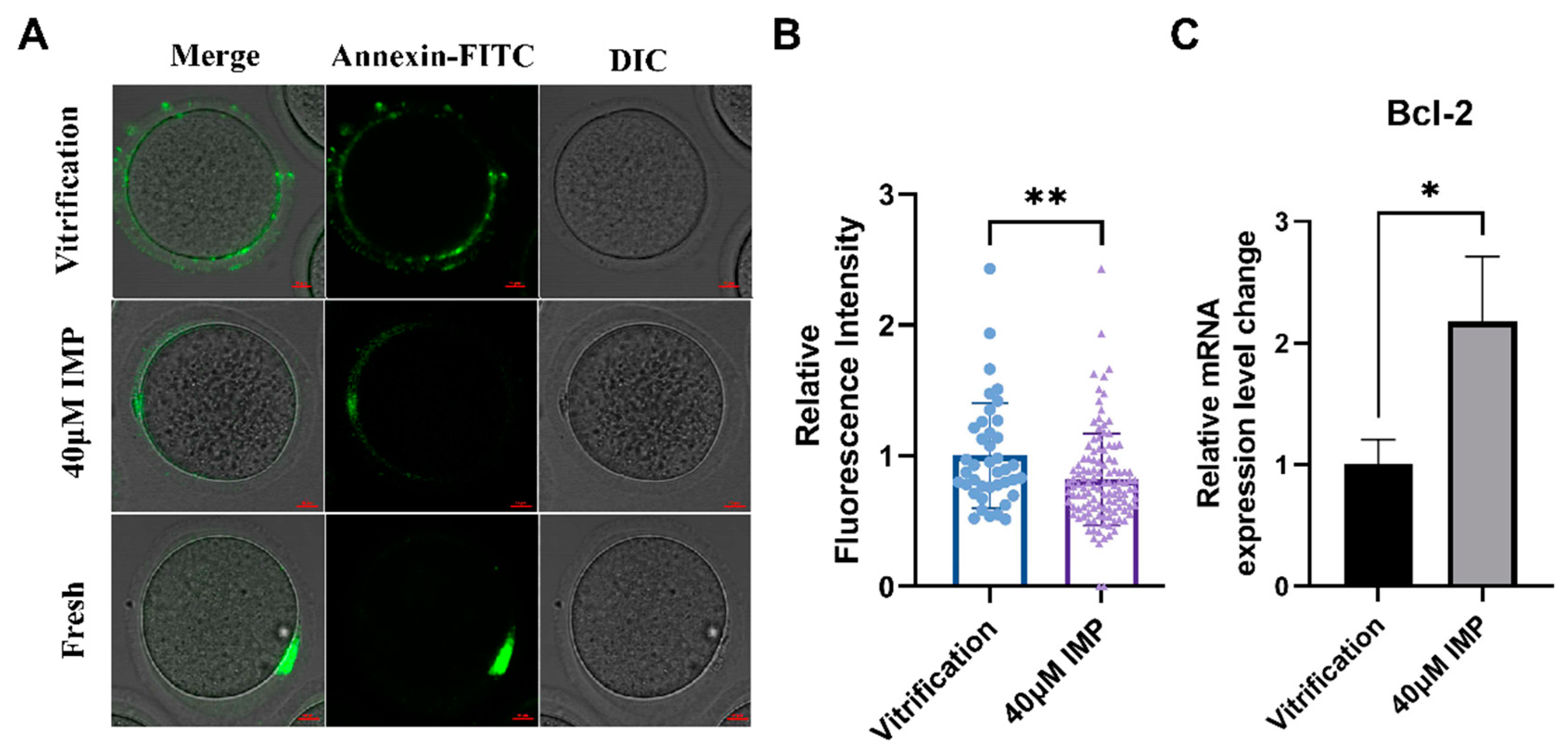 Animals 15 00661 g005