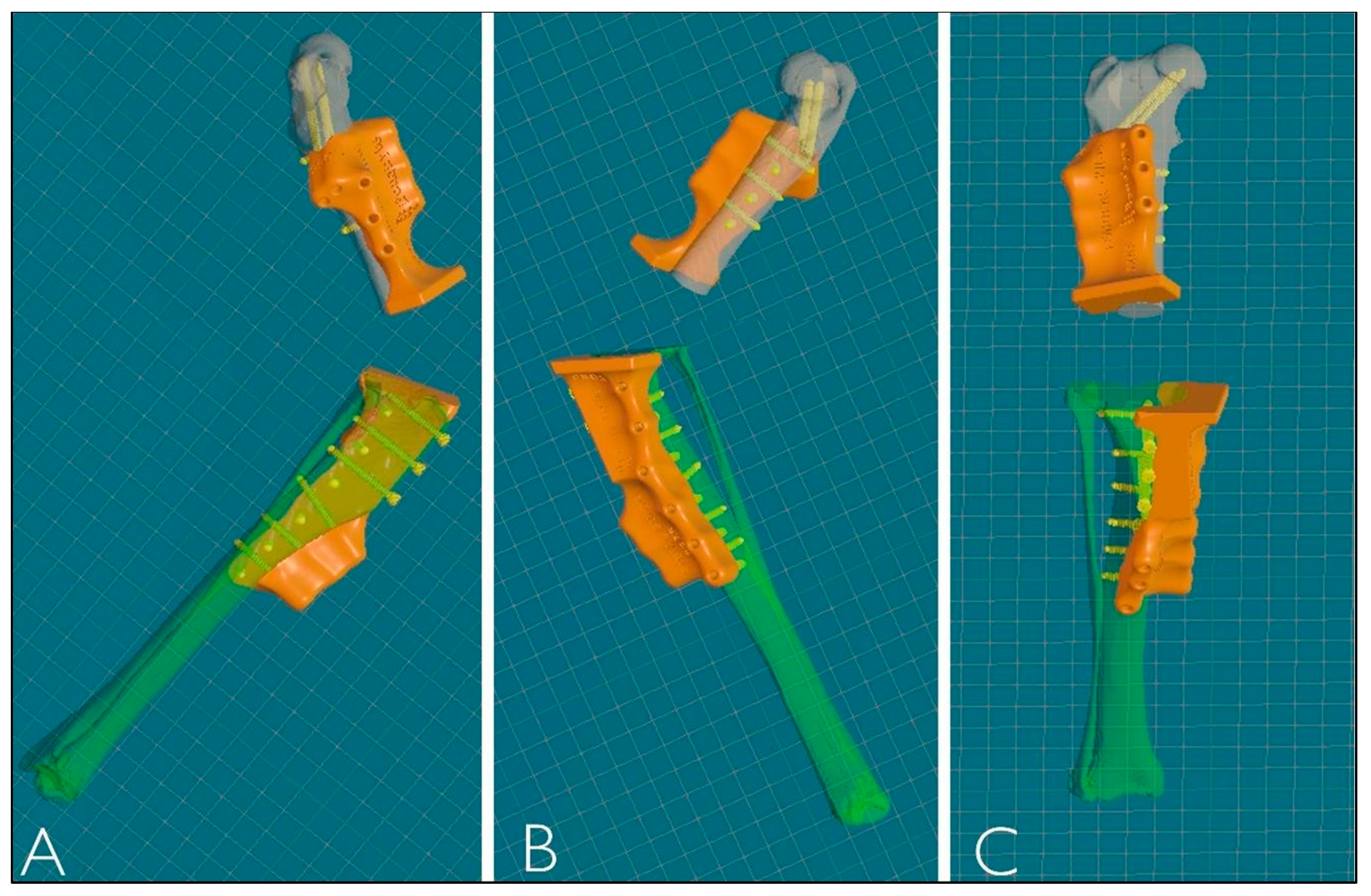 Animals 15 00673 g004