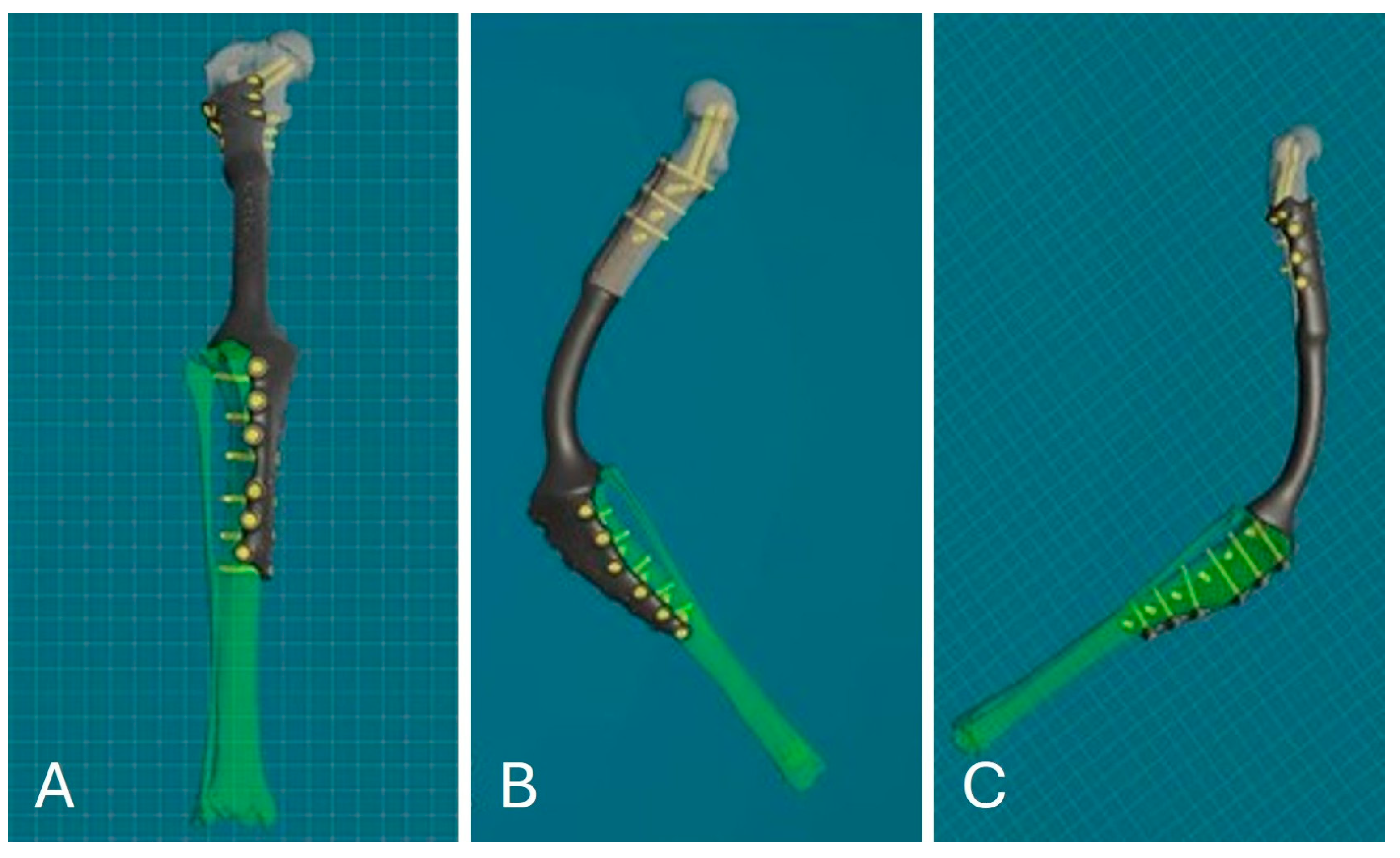 Animals 15 00673 g005