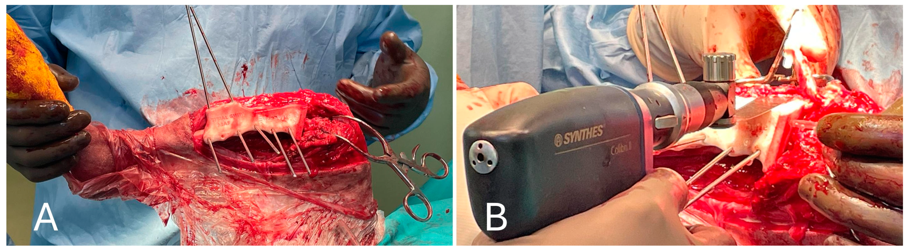 Animals 15 00673 g006