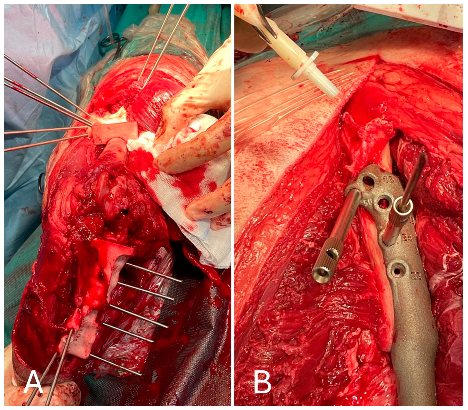 Animals 15 00673 g007