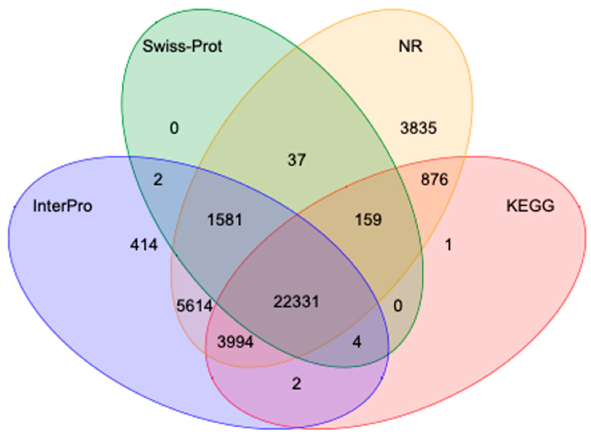 Animals 15 00690 g002