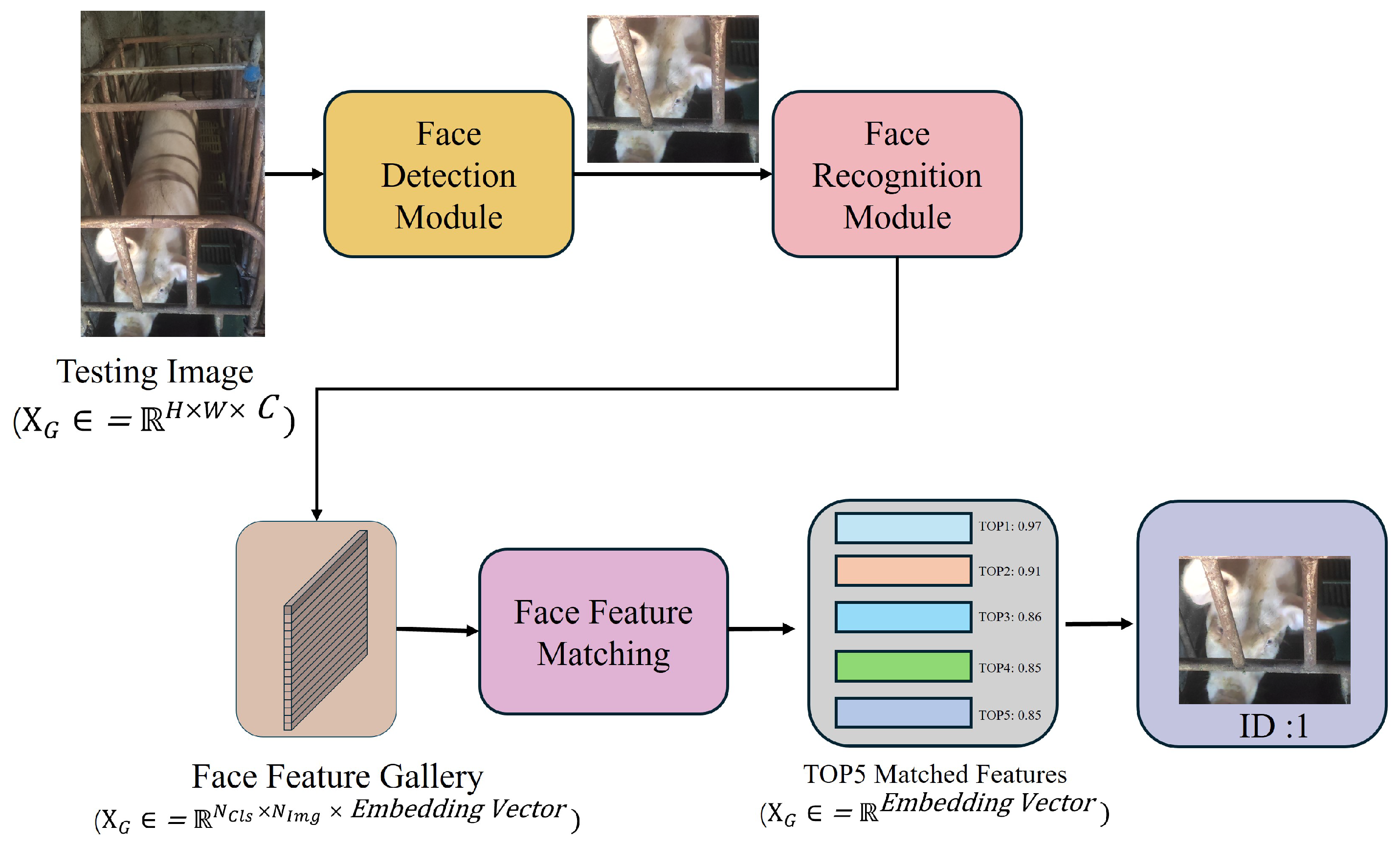 Animals 15 00691 g002