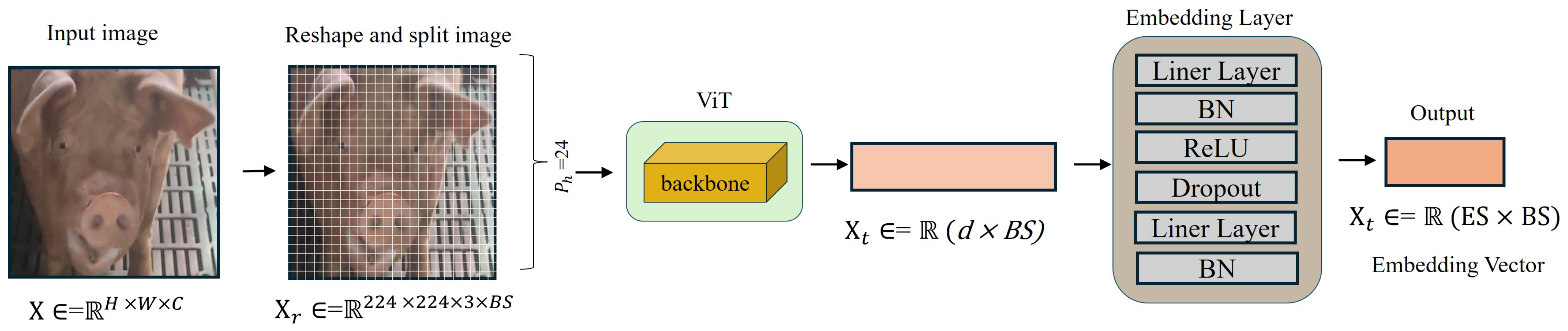 Animals 15 00691 g005