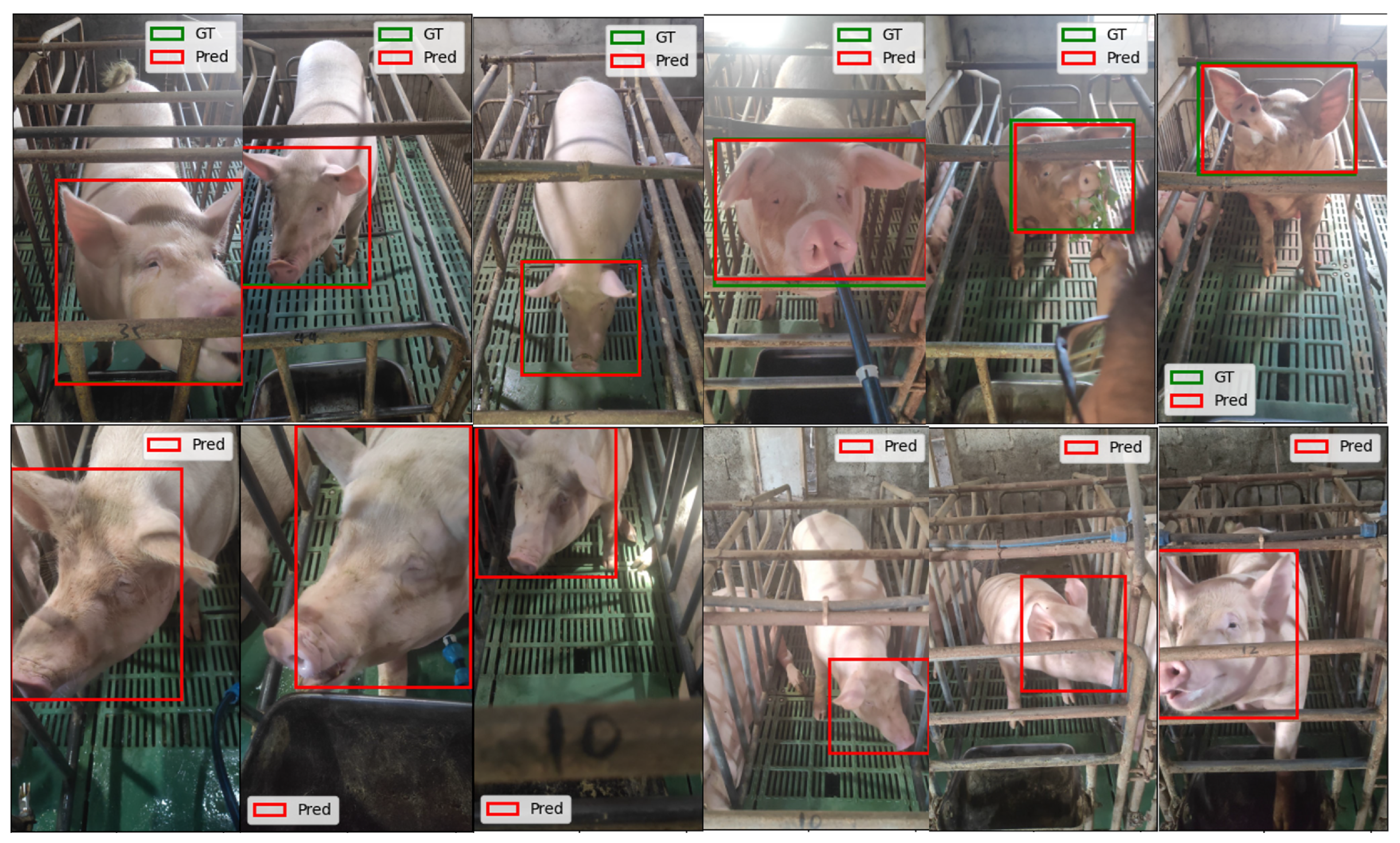 Animals 15 00691 g006