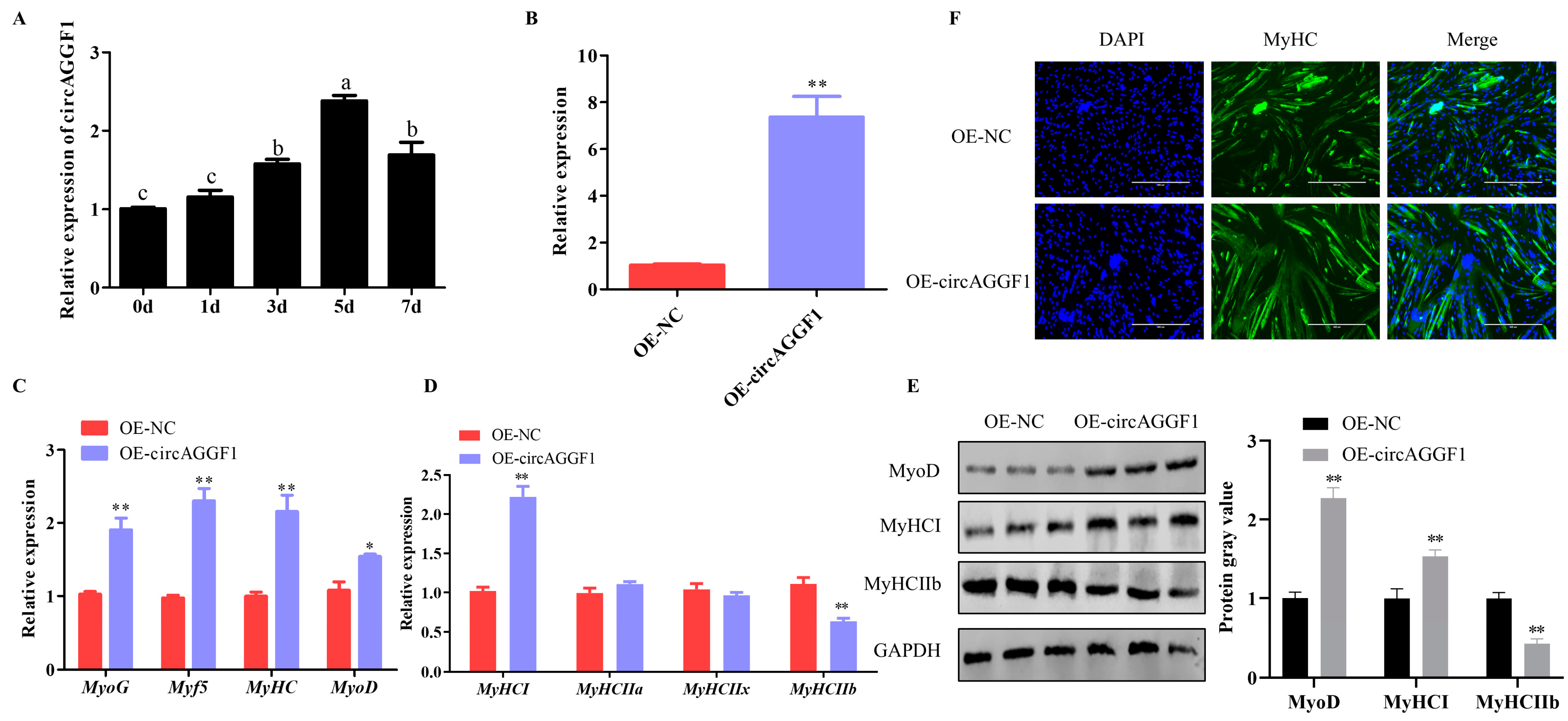Animals 15 00708 g001