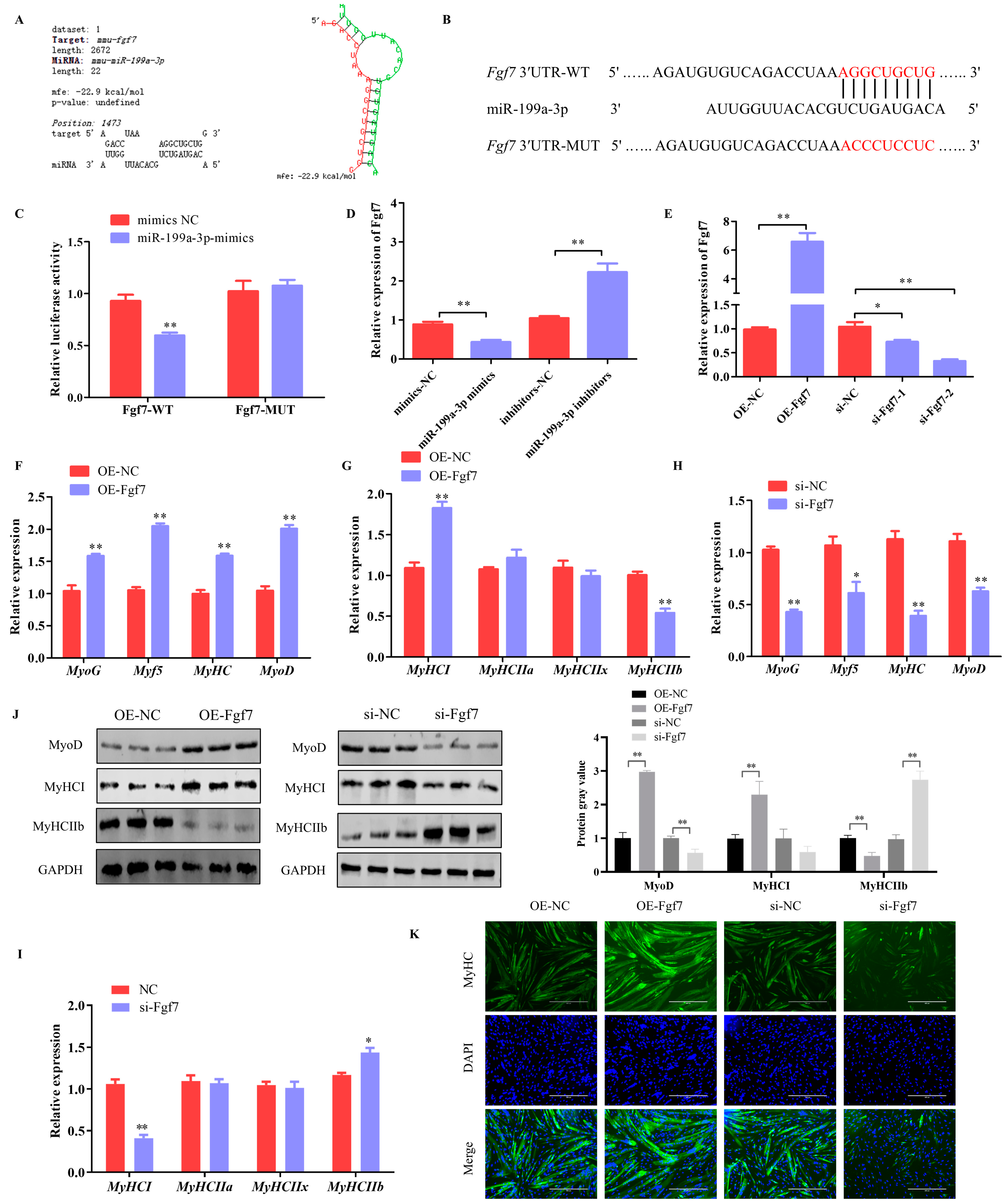 Animals 15 00708 g005
